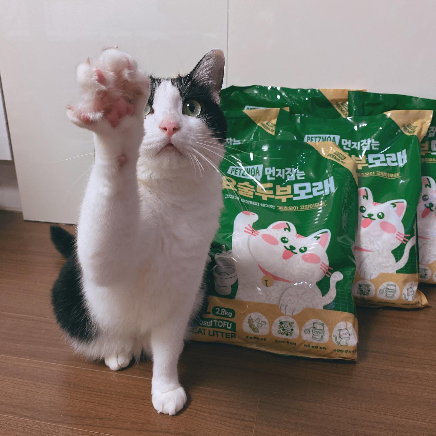 #협찬 #고양이모래 #페츠모아
⠀
몽룡이가 화장실 한번 다녀오면
온 집이 모래밭...🐾🐾
그래서 두부모래로 한번 바꿔봤당ㅎㅎ
두부모래 써보니까 장점이 집이 모래밭이 안되고
응고력도 좋구 먼지 날림도 훨씬 덜 하다는 거!!
쓰기가 아주 편해서 좋았당ㅎㅎ
다행히 몽룡이도 잘 써주고👍 잘 바꾼 듯!!
⠀
⠀
⠀
#두부모래 #벤토나이트 #고양이화장실 #페츠모아고양이모래 #요술두부모래