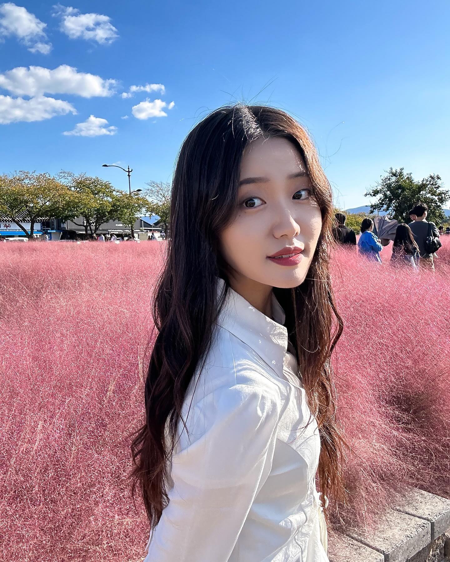 천고뮬리의 계절🌾
•
•
•
•
•
#경주 #경주여행 #경주핑크뮬리 
#가을 #여행 #핑크뮬리 #경주여행지
