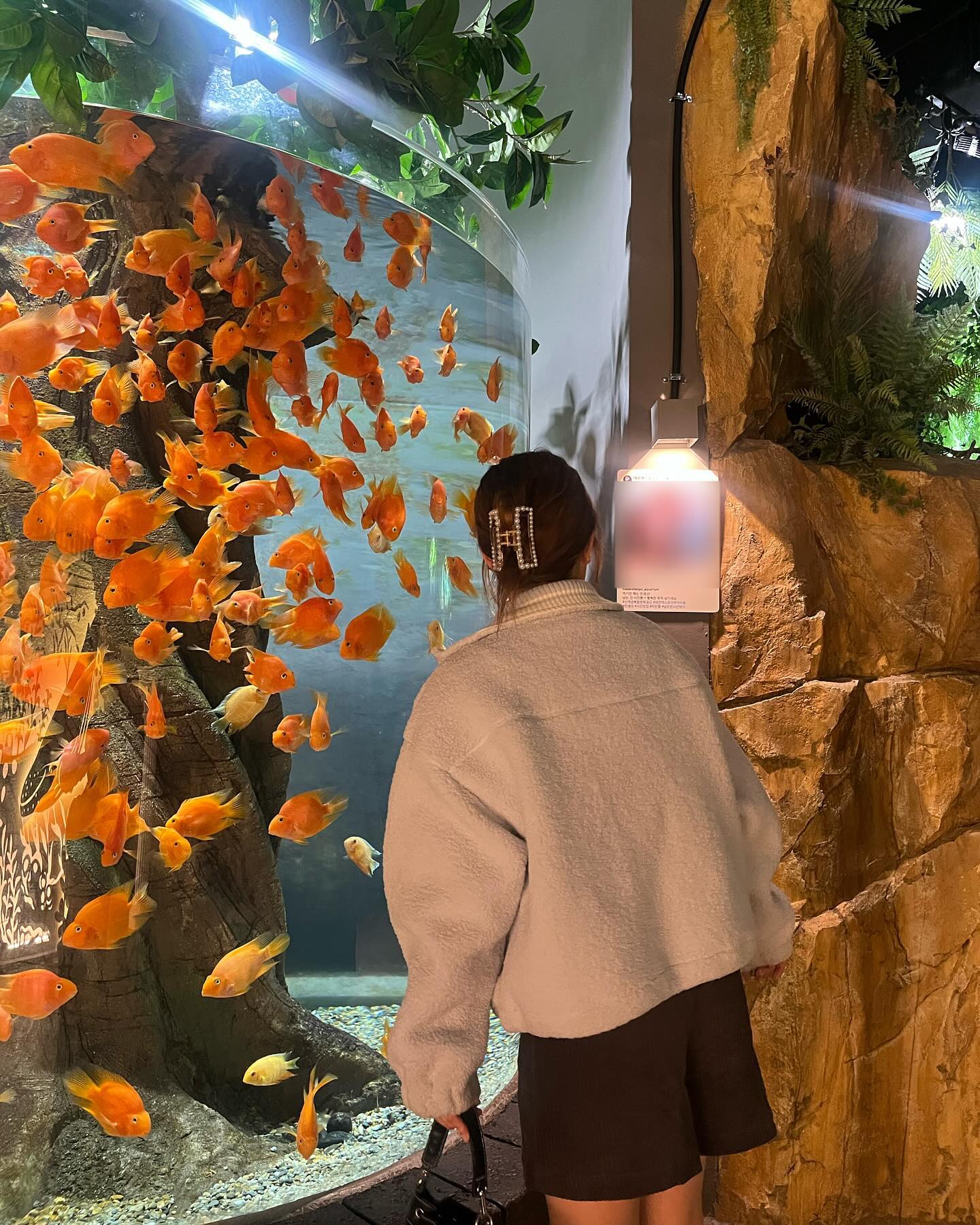 태어나서 아쿠아리움 처음 가본 사람. 
신난당 마술쇼도 봤음.
예 뭐.. 그렇고요 봐주셔서 감사하고요
햄슈터나 보고 가세요 ꙳꒰•◡̎•꒱꙳