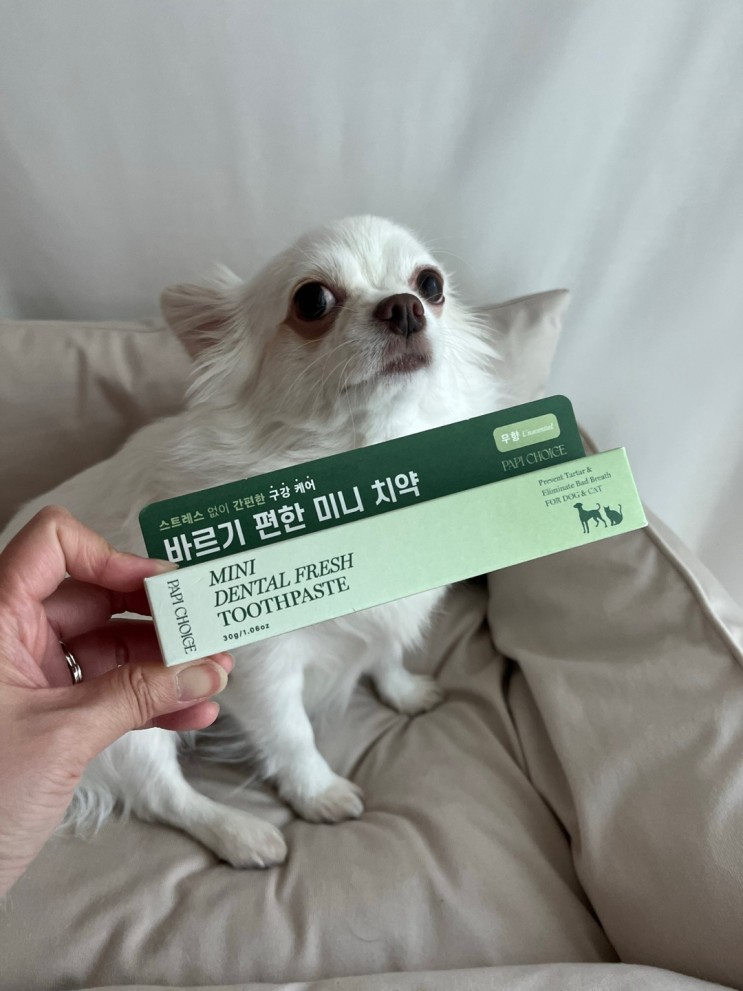 온리버디 빠삐초이스 미니덴탈 강아지치약 강아지입냄새 관리