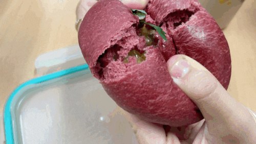 대구빵 맛집 대구신세계백화점 팝업스토어 수형당