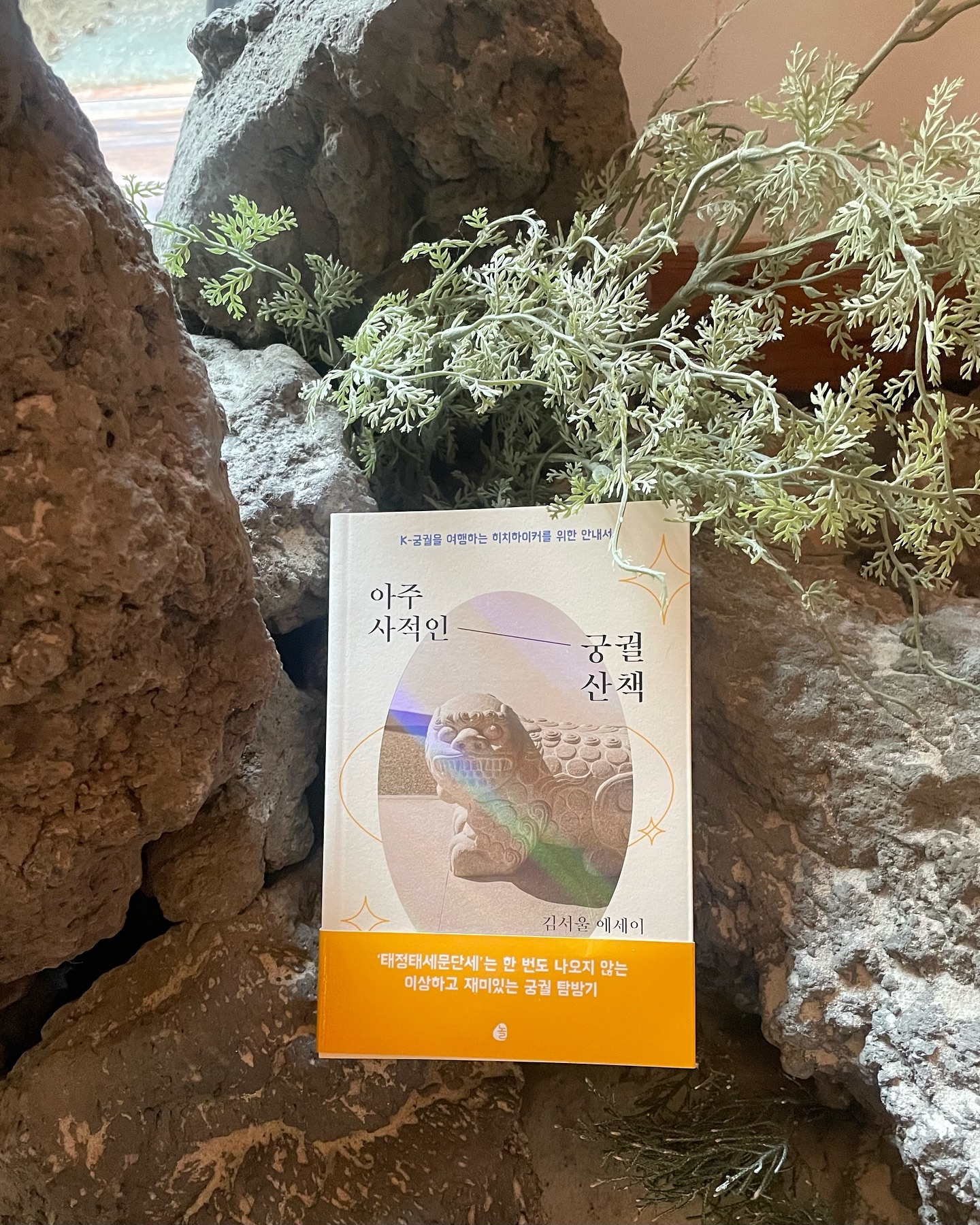 📗

올해의 첫 책은
‘아주 사적인 궁궐 산책’

옛 건물이 주는 힘이 있다⛩️

이상하고 재밌는 궁궐 탐방기로
작가의 솔직하고 시원한 이야기들이
꽤 빨리 다음 페이지로 넘어가는중📗

여러분의 올해 첫 책은 무엇인가요?

#독서 #7일챌린지 #책추천 #아주사적인궁궐산책