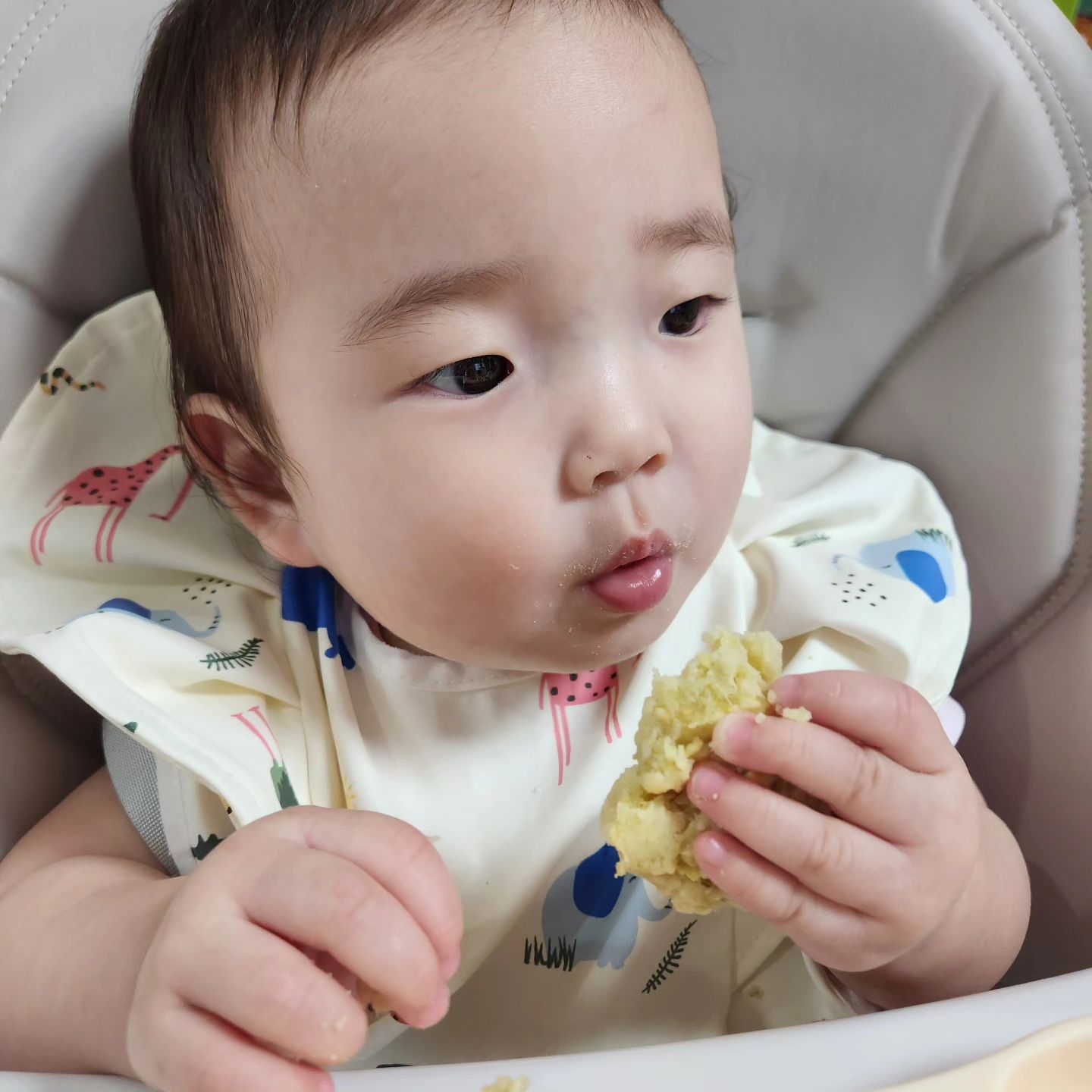 꾸몽이를 위해 처음으로 간식을 만들어 봤어요.

📜 재료
고구마 🍠 / 오트밀 / 분유물 🍼 / 쌀가루

정해진 레시피 없이
엄마 손이 가는 대로 양 조절했답니다.

처음 만들어 보는 거라 어떤 굽기 방법이 좋을지 몰라
에프, 전자레인지 두 곳에 돌려 봤어요.

결과는 에프는 성공!! 
전자레인지는 시간 설정 🆖️ / 수분도 없어서 다 타버렸어요. 🏠 전체가 탄내로 가득..
냄새가 안 빠져요. 😂

그래도 꾸몽이가 너무 맛있게 잘 먹어줘서 기분
너무 좋았어요. 재료 아직 한참 남았는데 낼 또 만들어 줘야겠어요.
.
.
.
첫 시도가 성공적이라 엄마 자신감 뿜뿜!!