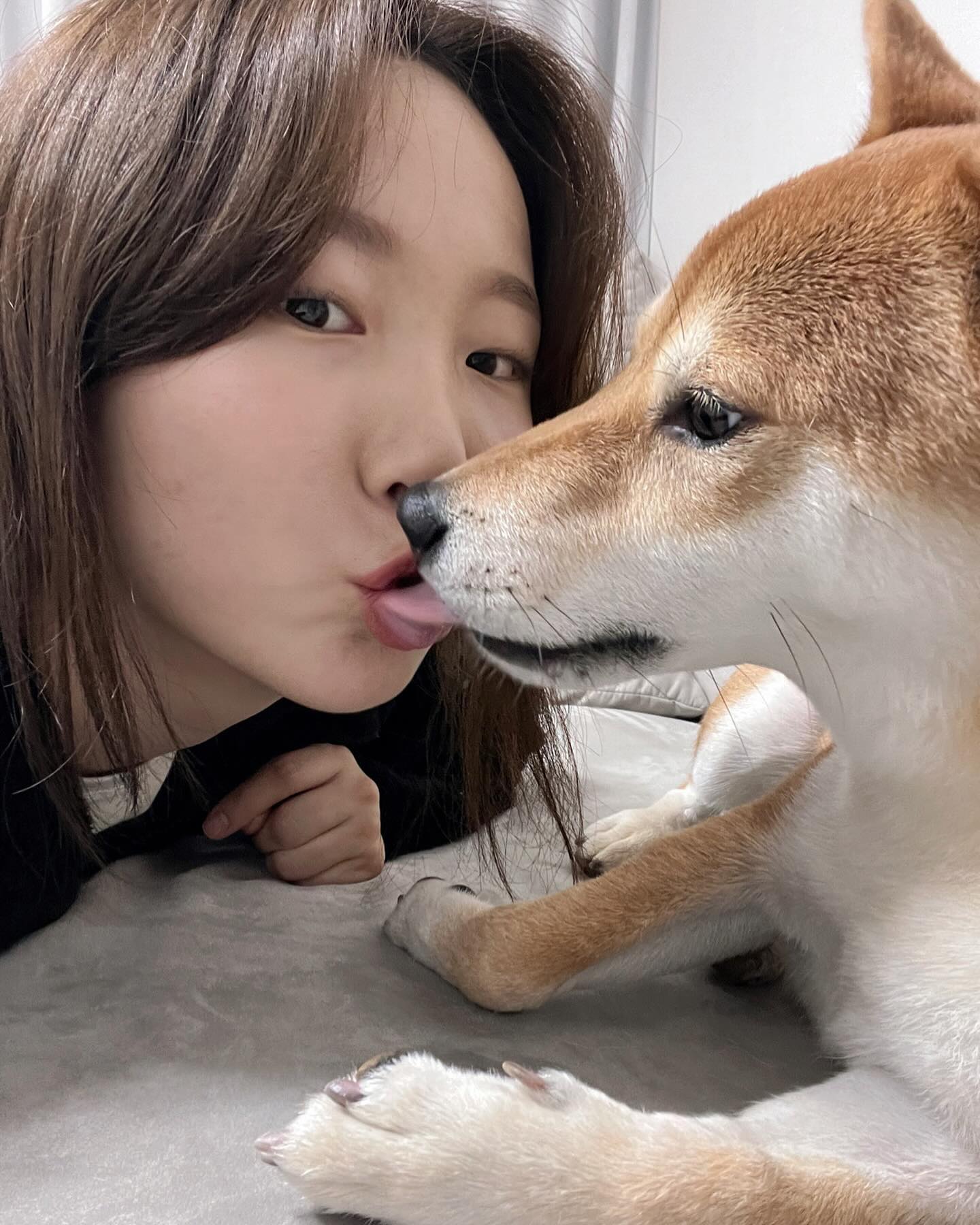 너 요즘 좀 많이 귀엽다 #시바새키