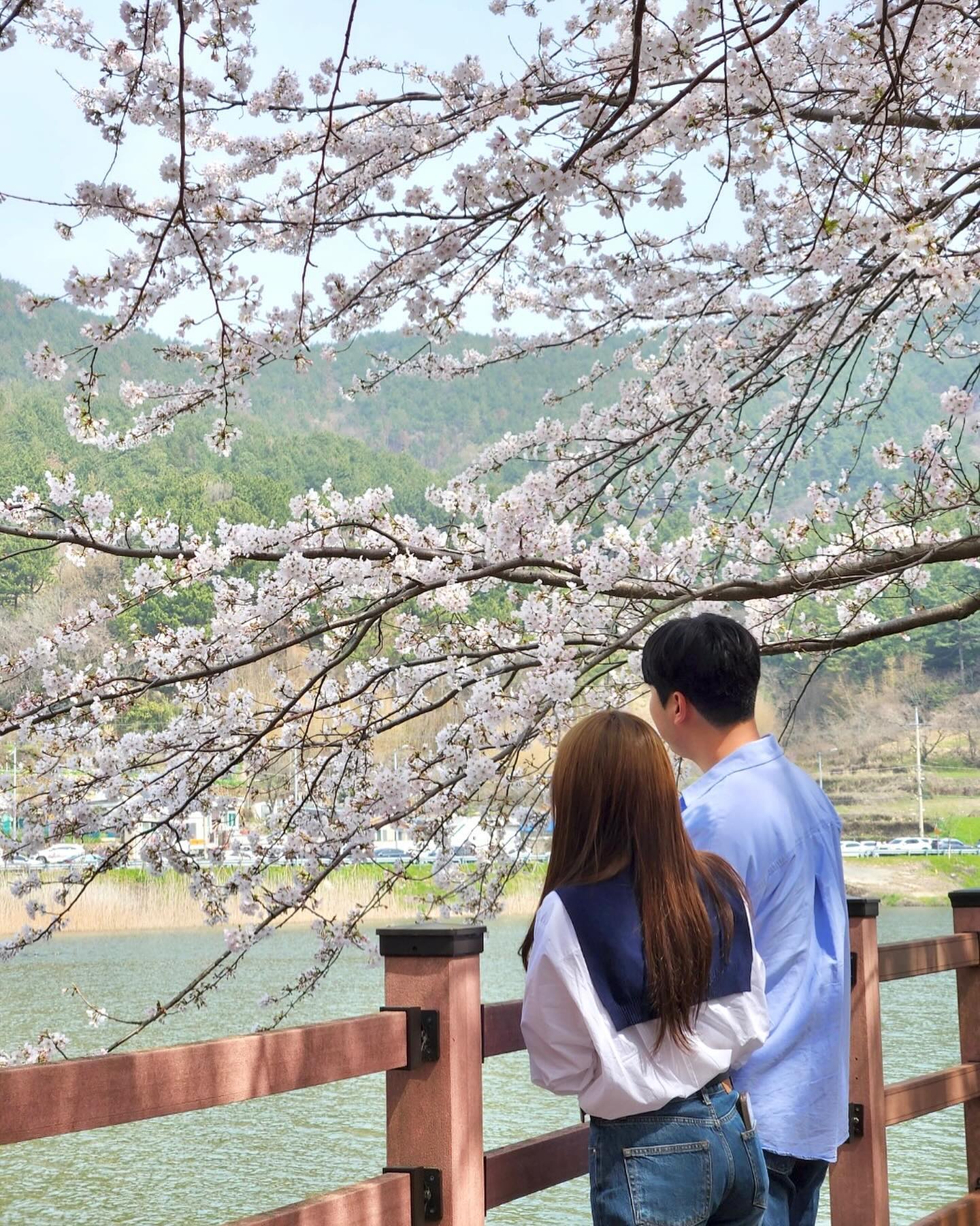 찬란하게 빛날 우리의 인생에는 꽃길만 가득하기를...🌷

 시간이 지나면 억압과 불안이 별거 아니게 느껴지는 때가 온다. 
지금 놓인 상황에 무한하게 감사하며 작은 행복을 찾아가자.