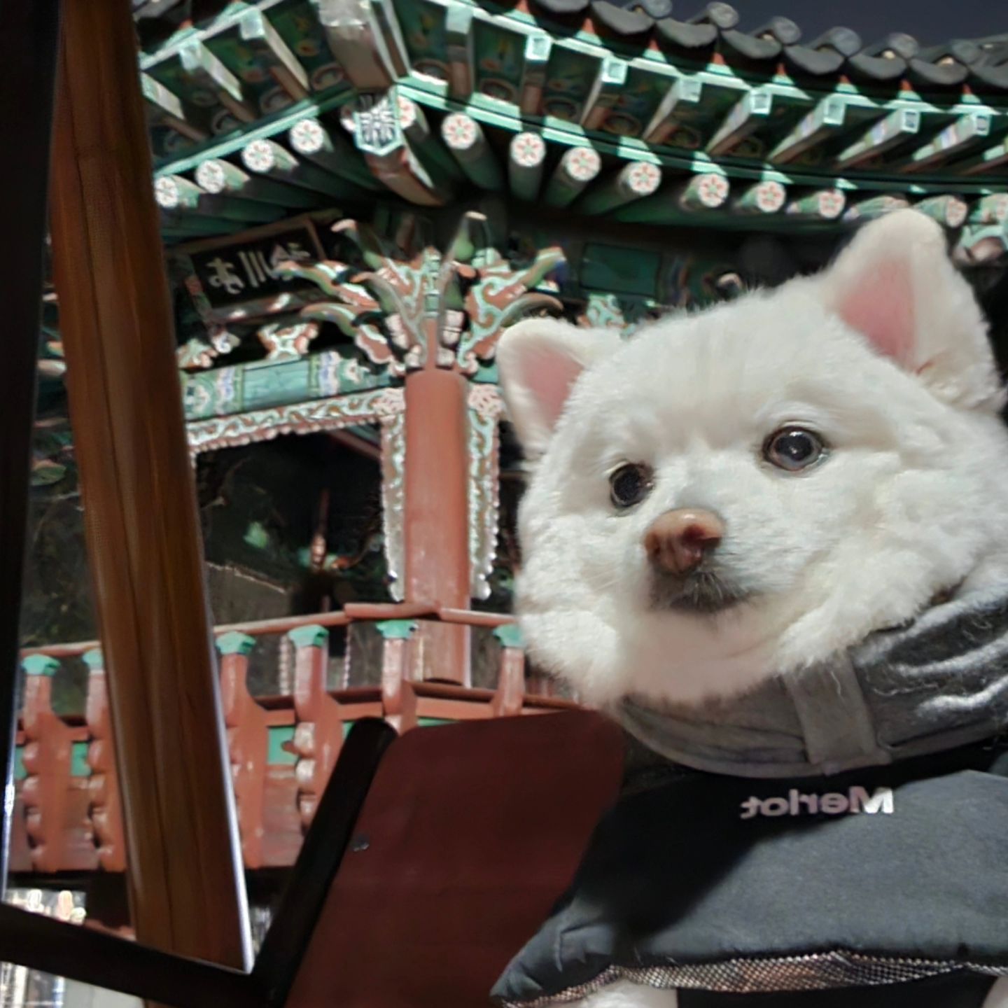 룰루