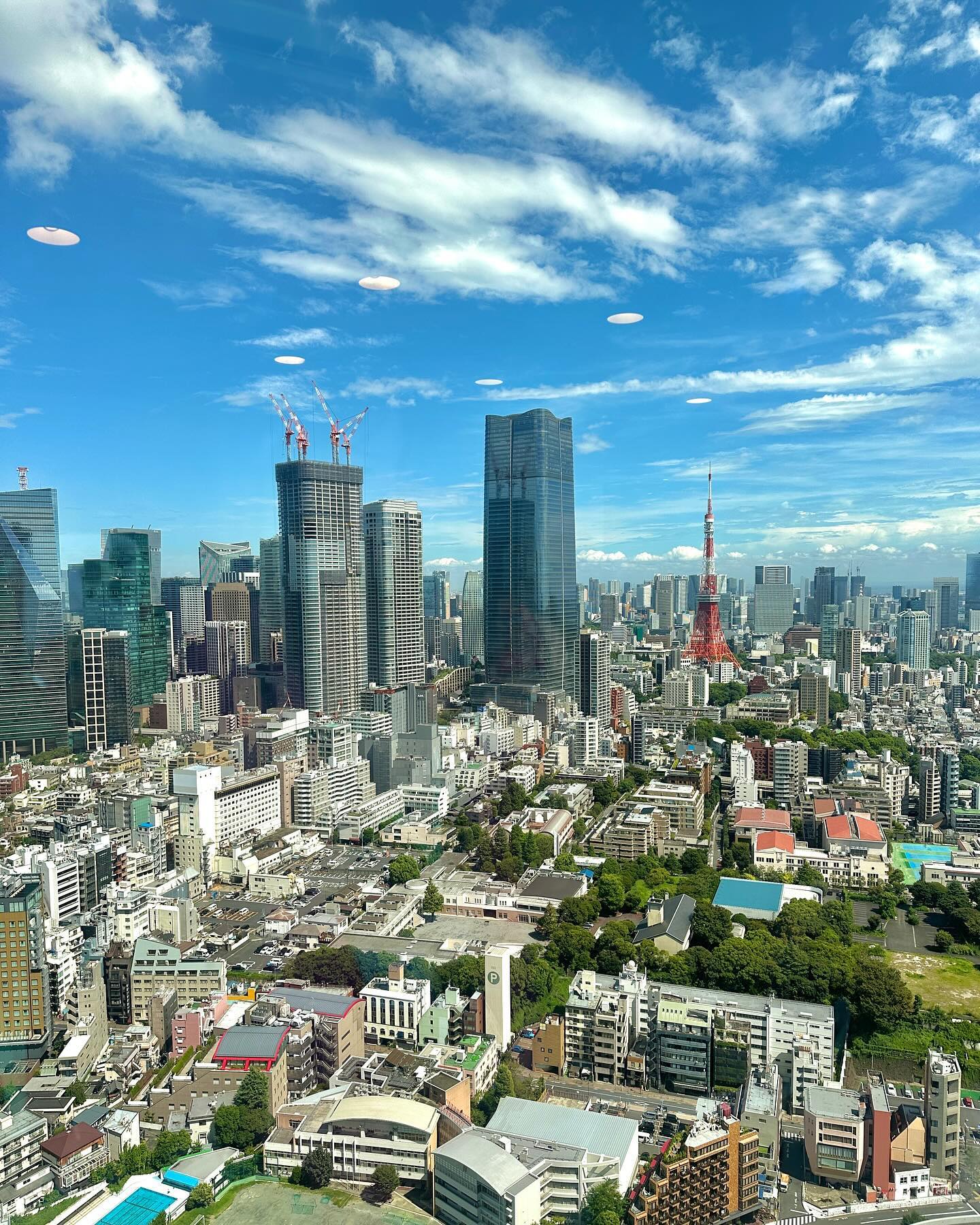 🗼출장중에 눈호강해땅