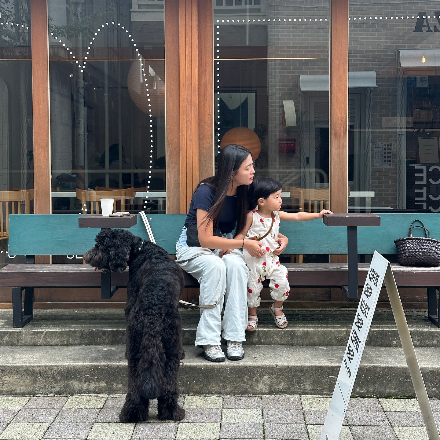 드디어 만나따 로운이 홀리 🥰❣️❣️ 

#육아체험 #귀여운게최고야 #귀여움이두배 🐾❤️❤️
#쉬파두들 #쉬파두들홀리