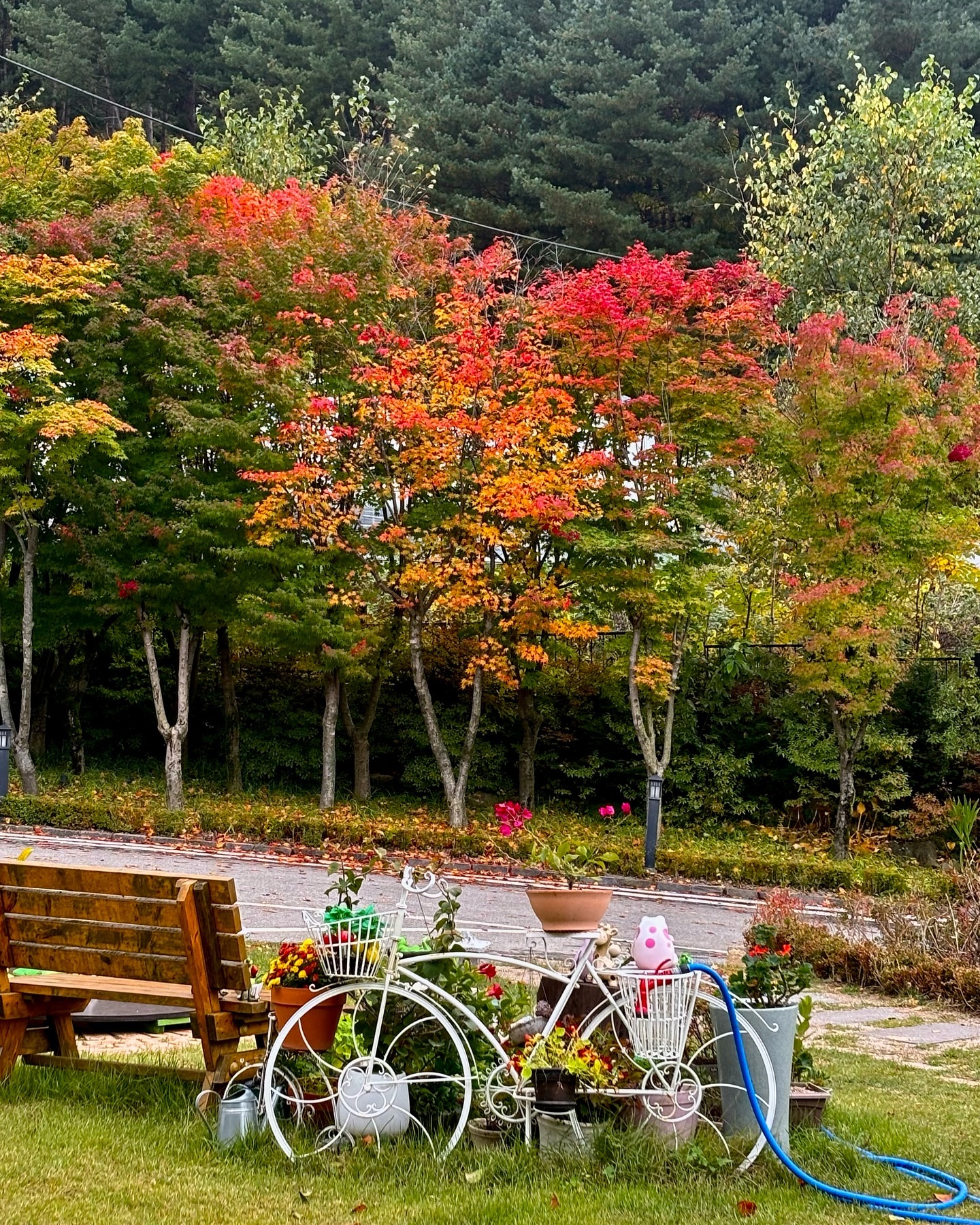 평창은 가을이래오🍁
비가와서 좀 슬펐지만… 그래도 즐거워✨
찾아간 곳마다 다 만족스럽고 웨이팅 없는거 최고야🍀

#평창여행 #가을 #카페921 #이진리하우스 #풀내음 #평창한우마을 #모나용평