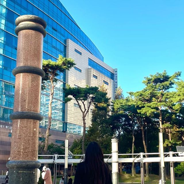 @juuu._.0 on Instagram: "#협찬 #광고 국내 최초 3사이즈 넉넉 스타킹! 44-99사이즈까지 입을 수 있는 스타킹이라 그런지 정말 넉넉하게 늘어났고 스타킹 안 신은것 처럼 편안했어요:) 이제 가을이라
