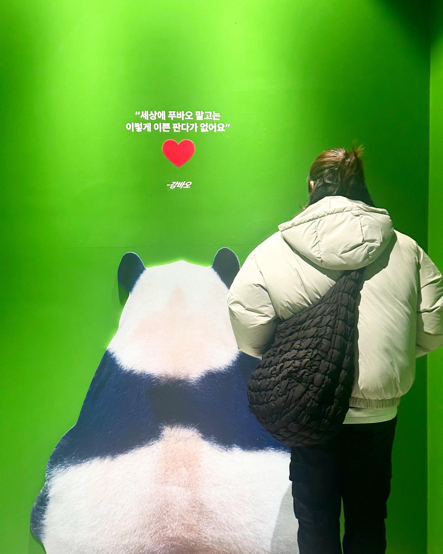 나는 감일바오 🐼

#에버랜드 
#푸바오 
#아이바오 
#러바오 
#후이바오 
#루이바오 
#바오하우스 
#푸바오런