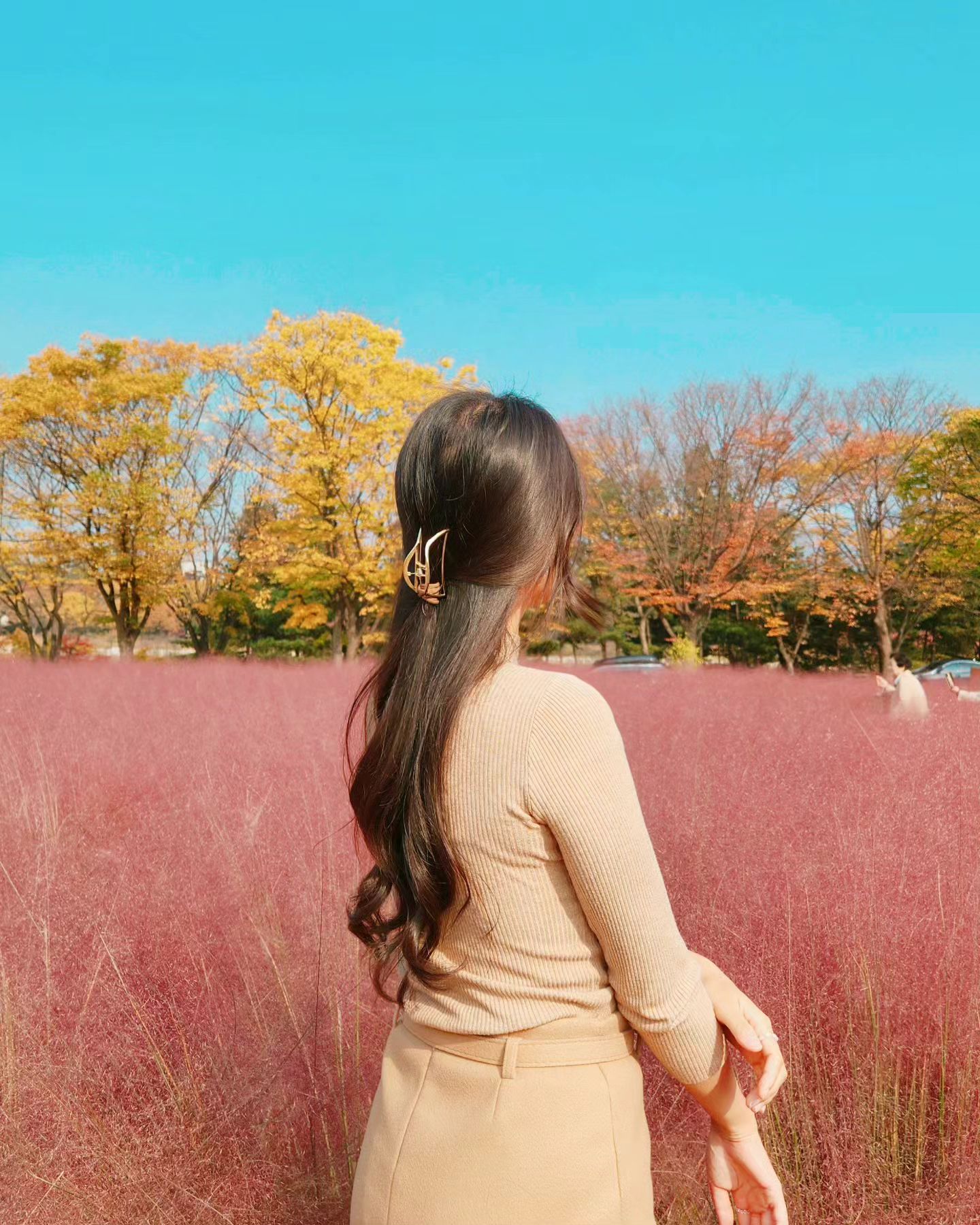 핑크뮬리보고왓쟈여