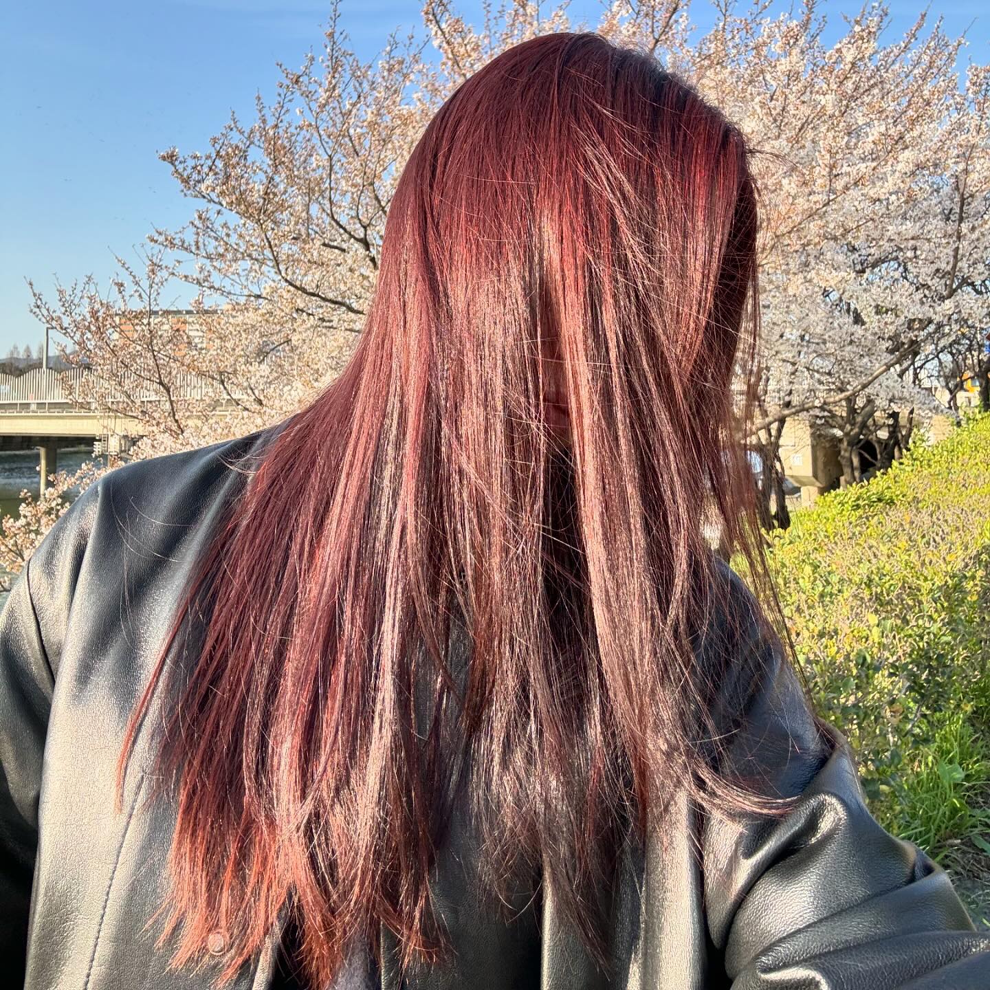 #코랄브라운 #코랄염색 #핑크염색 #레드염색
#요이헤어 #요이헤어승아쌤 #협찬 #리뷰노트

yoi__ssng_ah 

📍 요이헤어
📍 주소 : 대구 중구 공평로 61 1층
📍 전화번호 : 0507-1482-5201
📍 카카오톡, DM으로 예약 가능

얼굴형에 맞는 색상 스타일, 퍼스널 스타일을 찾을 수 있는 곳
꼼꼼한 상담과 추천으로 원하는 머리 쌉가능 ㅎㅎ
22시까지 야간 예약도 가능해요 ☺️
봄이랑 찰떡인 코랄브라운? 색상부터 앞머리 컷트까지 맘에 쏙 들었어요

#대구미용실 #동성로미용실 #대구컷트잘하는곳