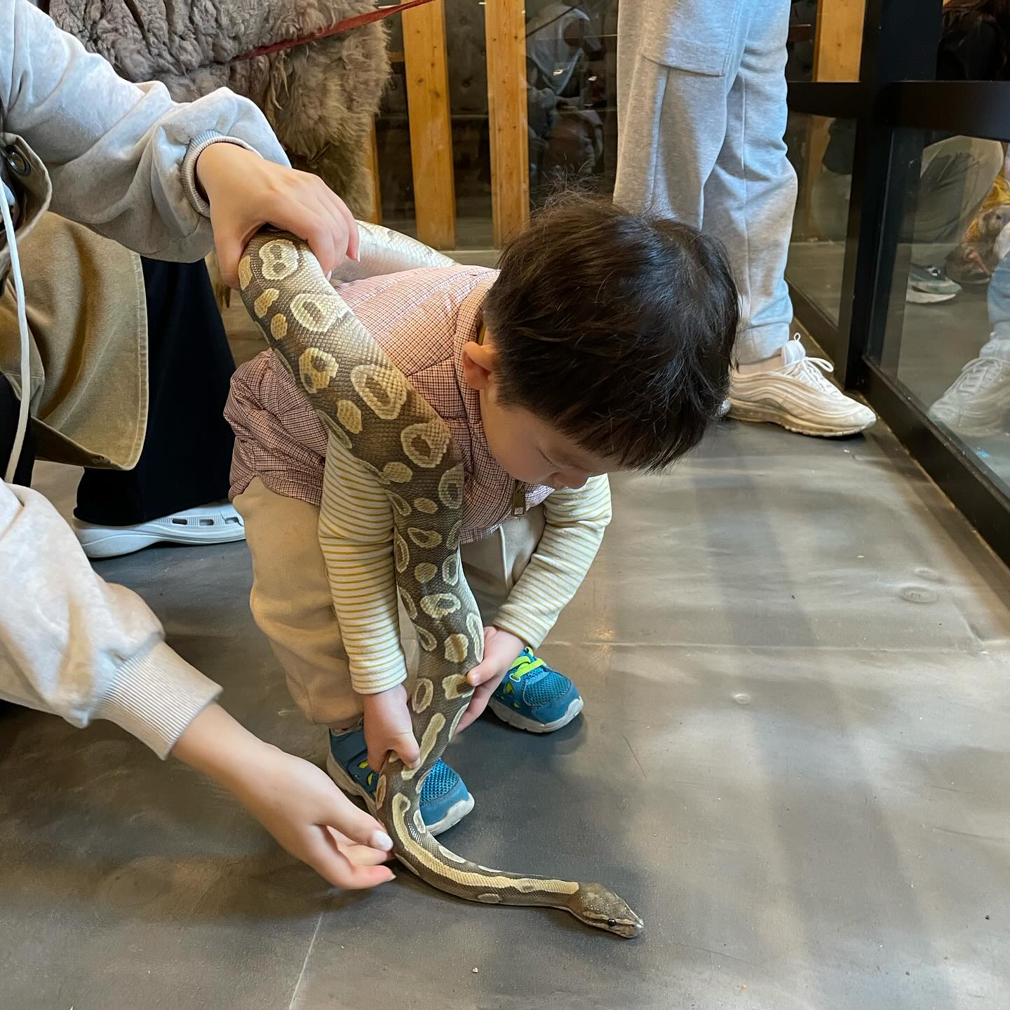 #와우쥬양산점 #양산동물원 #양산핫플