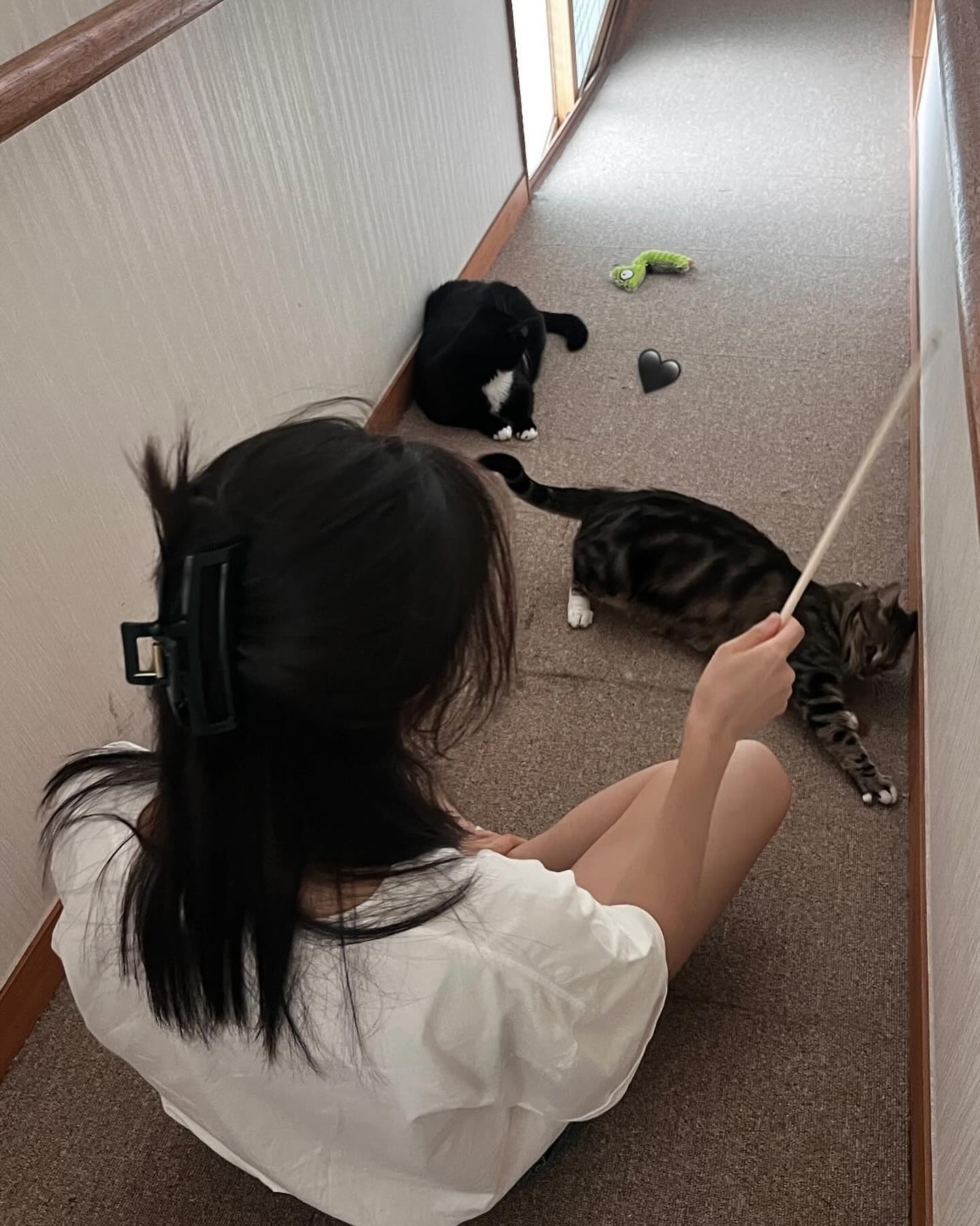 놀아줘서 고마워 애두라🐈‍⬛🐈🐈‍⬛🖤