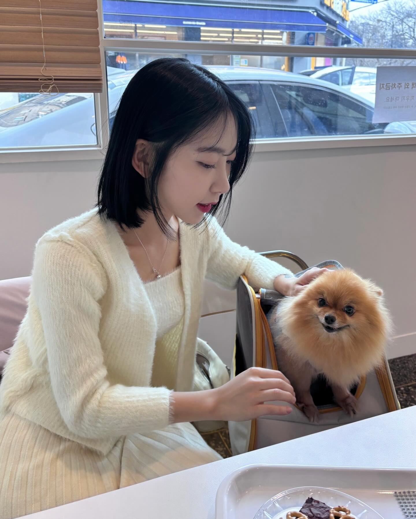공쥬님이랑
대구 나들이 마지막🐶🩷

#dailylook #멍스타그램 #애견동반카페#follower #대구애견동반카페#likeforfollow #댕스타그램 #f4f #instagood #좋아요테러 #좋반테러 #ootd #좋반 #좋아요반사#좋아요 #팔로우 #소통 #맞팔 #선팔 #인친 #데일리 #일상 #오오티디 #selca #selfie #셀카 #셀피 #선팔하면맞팔