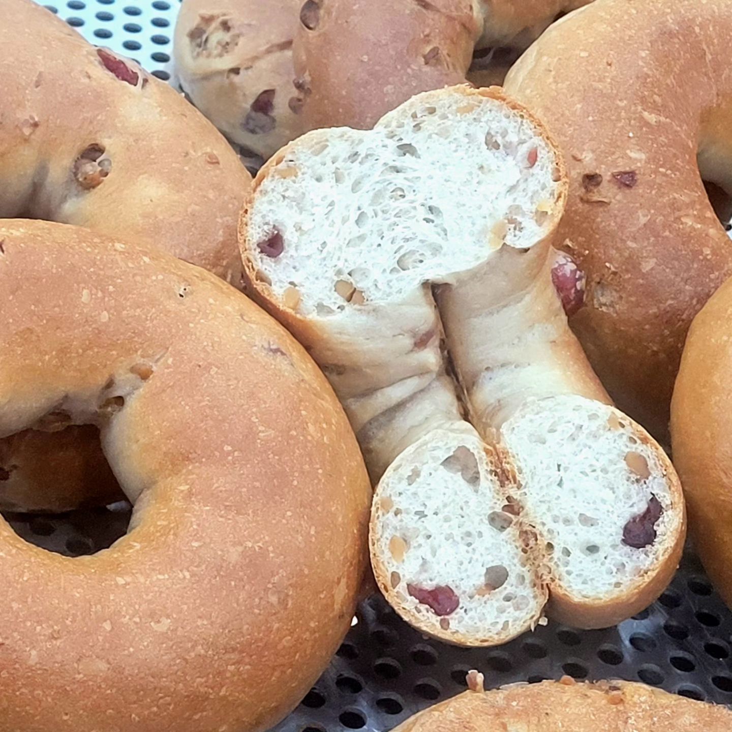 비건 호두 크랜베리 베이글 🥯 
호두도 듬뿍 크랜베리도 듬뿍듬뿍 들어가서
담백하면서도 달달해서 너무 좋았던 베이글
겉 크러스트도 적당하게 빠삭해서 너무 맛있었다
비건이라고 믿겨지지 않을정도!
그릭요거트 발라서 내사랑 밤꿀 좌르르 뿌려먹으니까 👍👍👍
역시 베이글은 그릭이나 크림치즈랑 너무 잘어울리는거 같당! 😆
.
.
.
.
.
.
.
.
.
🤎