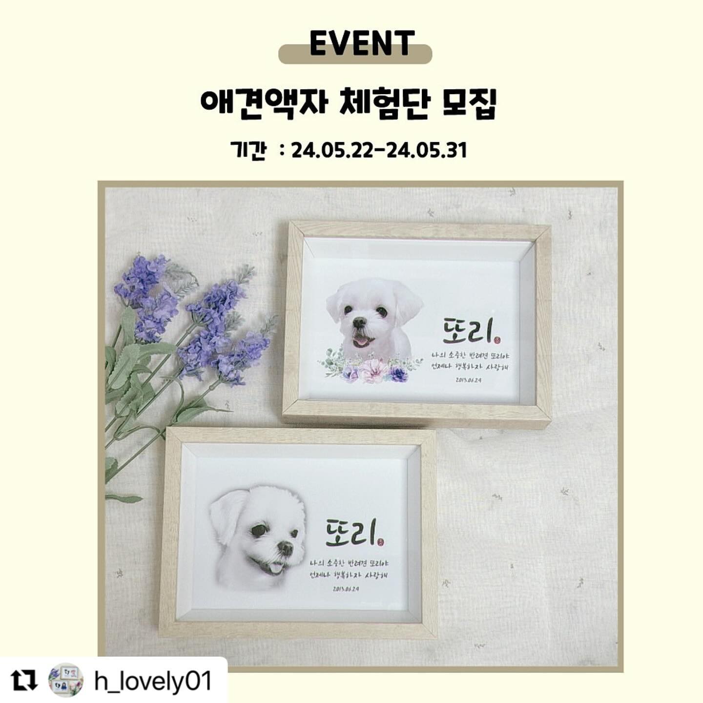 #Repost h_lovely01 with use.repost
・・・
🐶하블리디자인 체험단 모집🐶

하블리디자인의 귀여운 애견액자의 체험단을 모집합니다~
고급스런 디자인과 귀여운 나의 반려동물을 위해 만들어 드리는 애견액자에 많은 참여 부탁드려요~

🎀참여방법

1. 반려견&반려묘 등 반려동물을 키우시는 모든 분들이면 🆗
2. 하블리디자인 인스타 팔로우 + 이 피드 좋아요 + 피드 리그램
(3가지 모두 참여해 주셔야 합니다^^)
3. 댓글에 참여완료 남기기
4. 친구소환시 당첨확률🆙

🎀모집일자 : 5.22일 ~ 5.31일까지
🎀모집인원 : 10명
🎀당첨일자 : 6.3일 (개별DM으로 연락드립니다)

🚨당첨되신 분들은 맘카페 + SNS 1건 후기작성 필수입니다
(남기시고 꼭 링크 보내주세요!!)
🚨남겨주신 후기는 하블리디자인의 마케팅으로 사용되며, 6개월 이상 남겨주실 분들만 동의하에 참여 부탁드립니다!!
🚨상품을 받고 7일 이내에 후기작성 해주세요!!
🚨후기작성시 후기가이드 보내드립니다
🚨공개계정인 분들만 참여해 주세요~
🚨액자 제작시 디자인은 총 4가지 중 선택가능하십니다~
(다양한 디자인은 하블리디자인 스토어팜에서 확인해주세요🐶)

🔎검색 및 제작 : 하블리디자인 

#강아지액자 #반려견액자 #애견액자 #강아지그램 #고양이그램 
#강아지스타그램 #고양이스타그램 #애개육아 #강아지소통 
#강아지이벤트 #이벤트그램 #하블리디자인