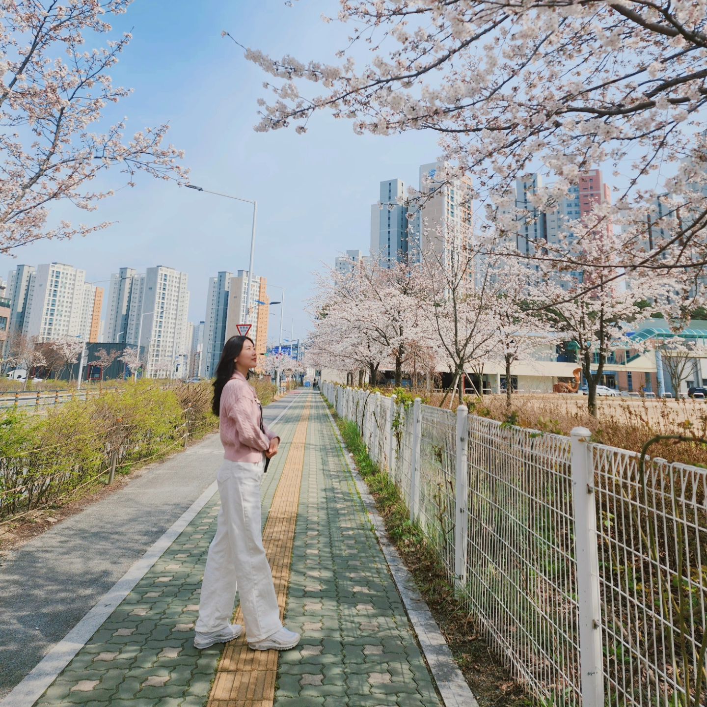 동네에서 벚꽃 즐기기🌸🌸
오랜만에 동네 언니들이랑 점심먹고 벚꽃구경했어요 :)
동네에도 꽃 구경 할수 있는 곳들이 있어서 좋네요.

주변에 벚꽃 스팟 찾아보세요❤️

#관저동벚꽃  #관저동 #벚꽃놀이 #벚꽃 #꽃놀이