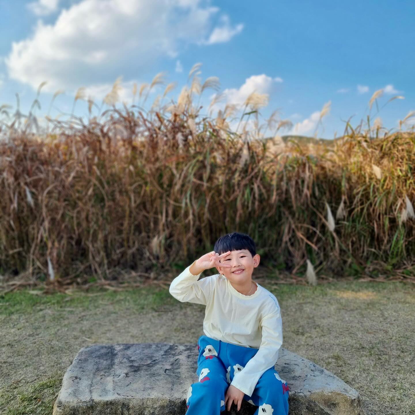 10/23
하중도🌼🌸

⠀⠀⠀⠀⠀⠀⠀⠀⠀⠀⠀⠀⠀⠀⠀⠀⠀
#유건일상 #아빠유건 #날좋은날 
#아이와가볼만한곳 #아이와함께가볼만한곳 
#대구하중도 #금호꽃섬 #가을꽃구경
