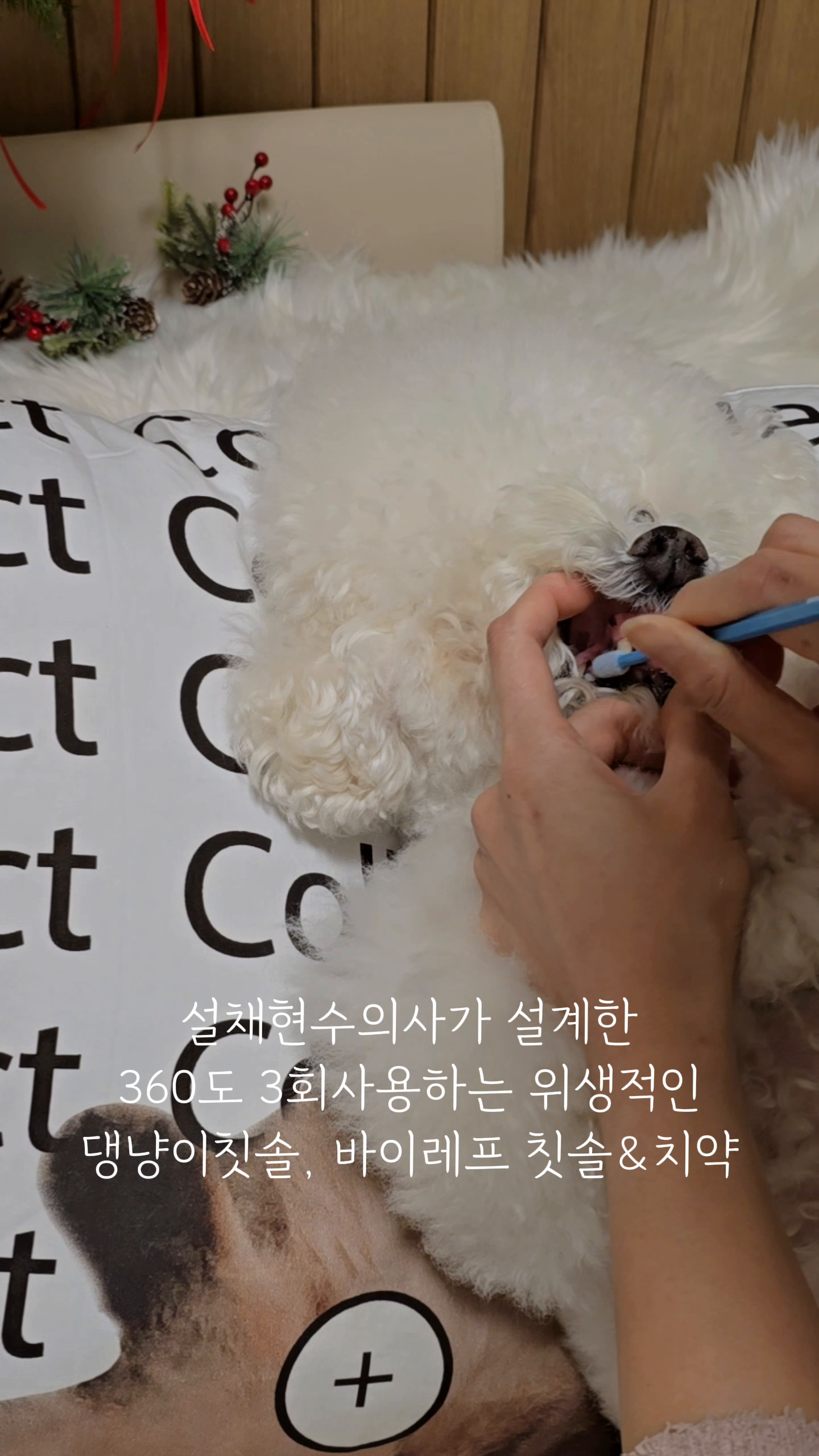 콘텐츠