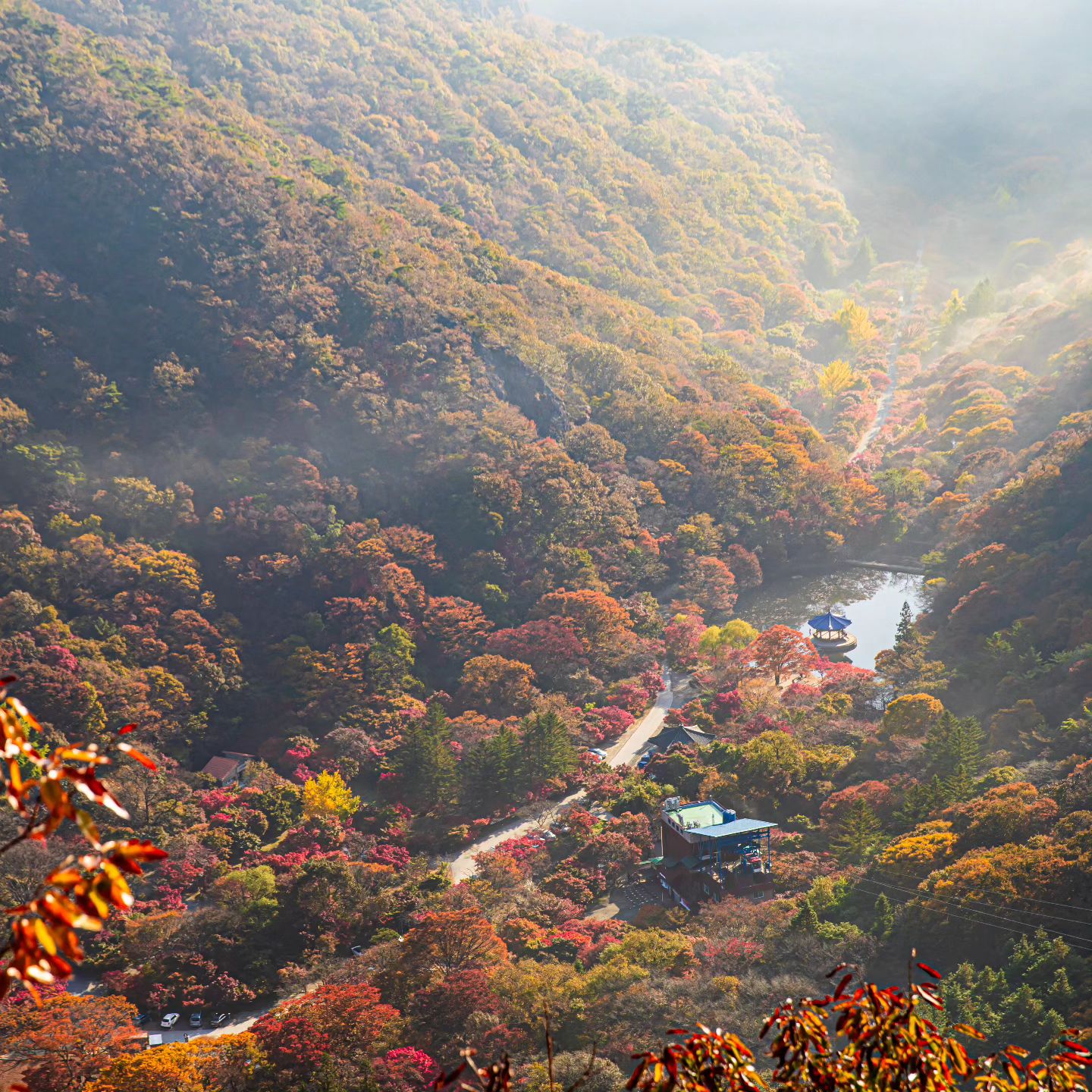 단풍놀이 🍁 

10월 30일자 단풍
#내장산 #단풍사진 #단풍잎 #가을 #가을여행 #여행