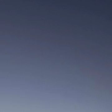 콘텐츠