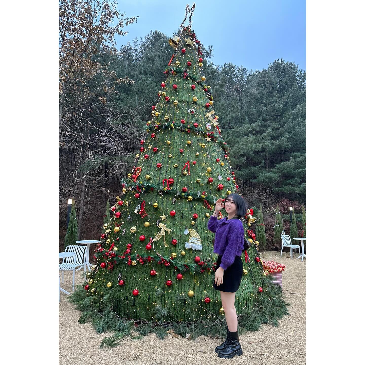 🎄🎄🎄