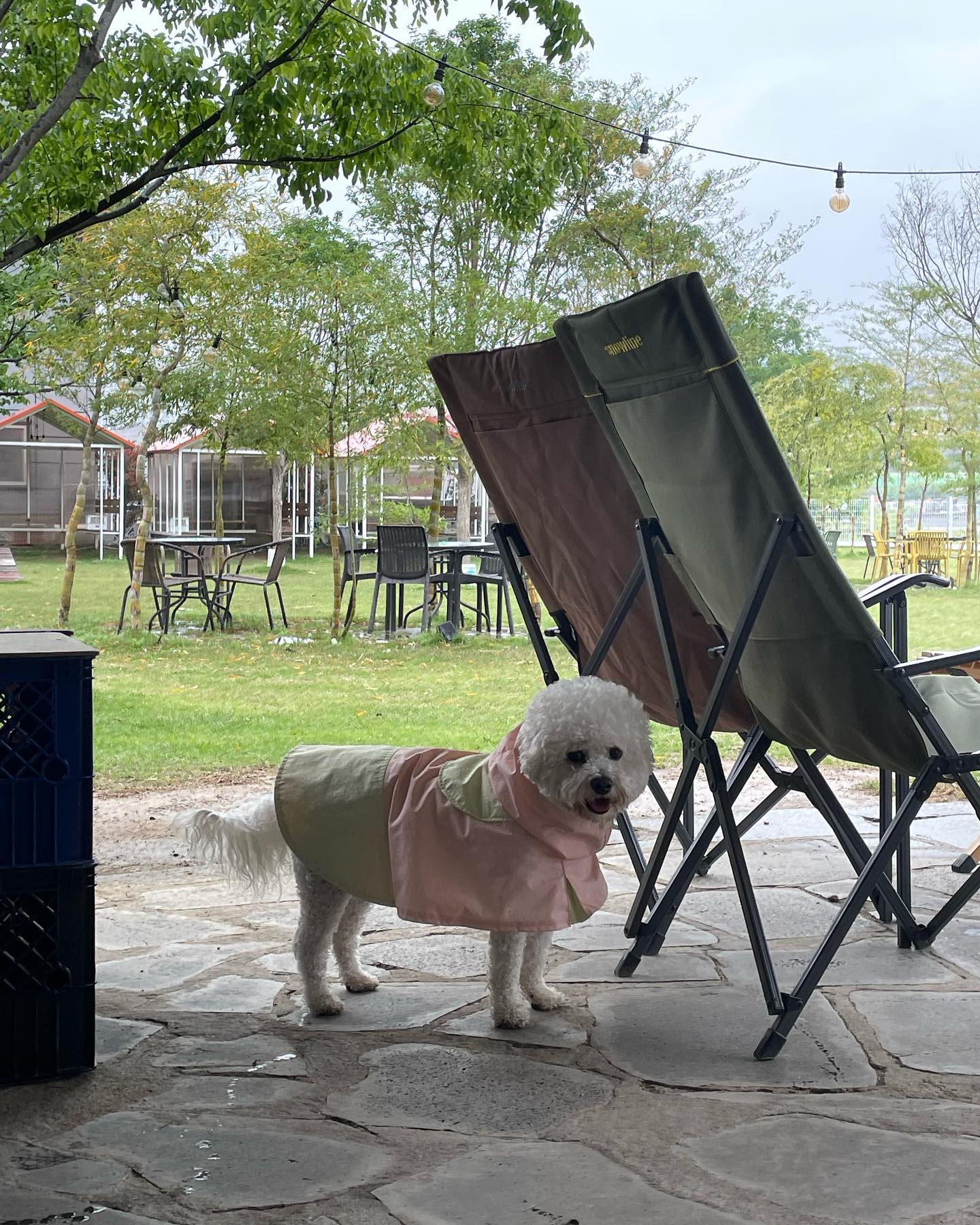 비 언제까지 오는 거냐구 ☔️😟 ! 

cafe_thefield