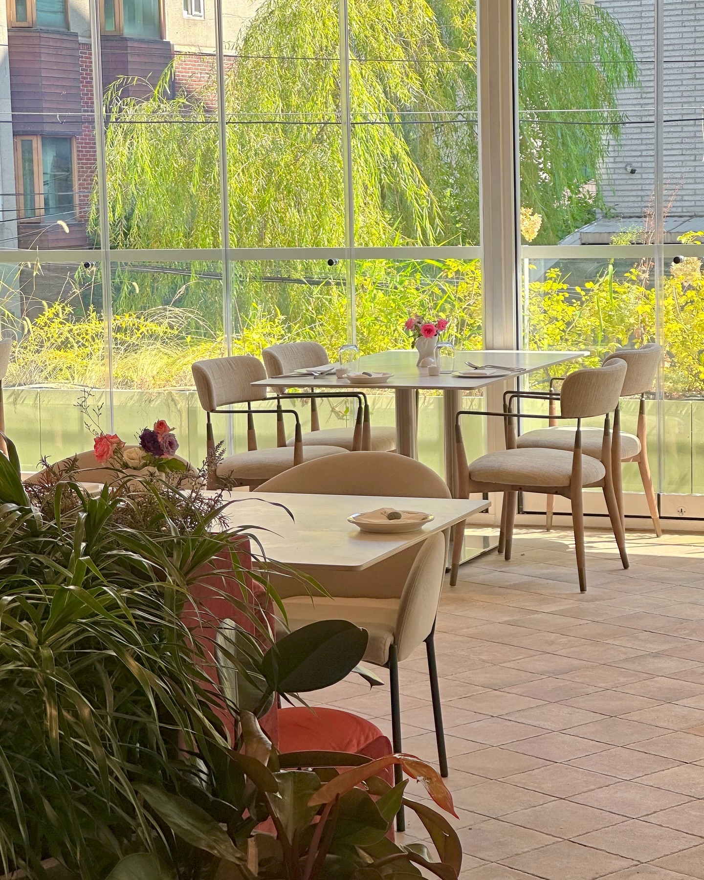 콘텐츠