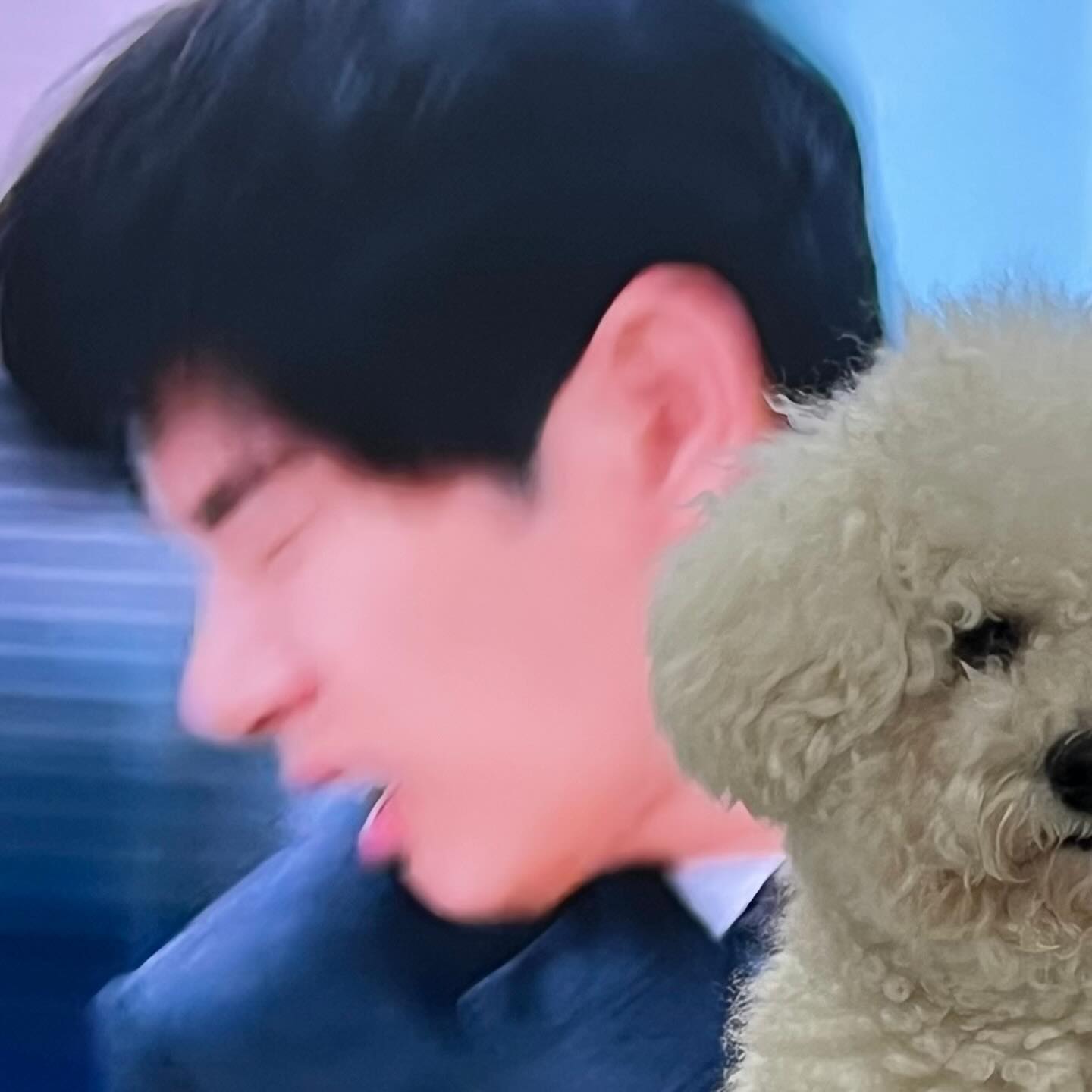 모구 미용 비포에프터🤪