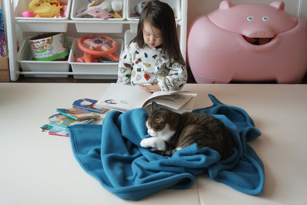 김그림 껌딱지 유자🍊
어쩜 이렇게 붙어있는지 몰라요..

팀푸 블랭킷은 빠르게 소진되고 있습니다 :-)
재입고는 시일이 걸리니 미리미리 준비해주세요!

그림이와 유자가 덮은 제품은 성인용 케이프입니다.
케이프는 미디움 블랭킷과 크기가 같아요.

집에서 덮을 사이즈라면 무조건 라지를 추천드려요🧸
칭찬 디엠이 가득가득 오고 있어서 뿌듯한 겨울입니다.
볼드 블랭킷 - 오래오래 따뜻하게 써주세요 :-)

watertankbasement 
.
.
#워터탱크베이스먼트 #볼드블랭킷 #이불 #블랭킷 #홈스타그램 #인테리어 #동계캠핑 #캠스타그램 #아기와고양이 #육아육묘 #육아스타그램 #육아소통 #코숏 #육아 #캣스타그램 #냥스타그램 #고양이스타그램 #육아일상 #육아일기 #육아맘 #맘스타그램 #고양이 #아기스타그램 #베이비스타그램 #홈스냅 #캠핑 #집스타그램 #집꾸미기 #오늘의집