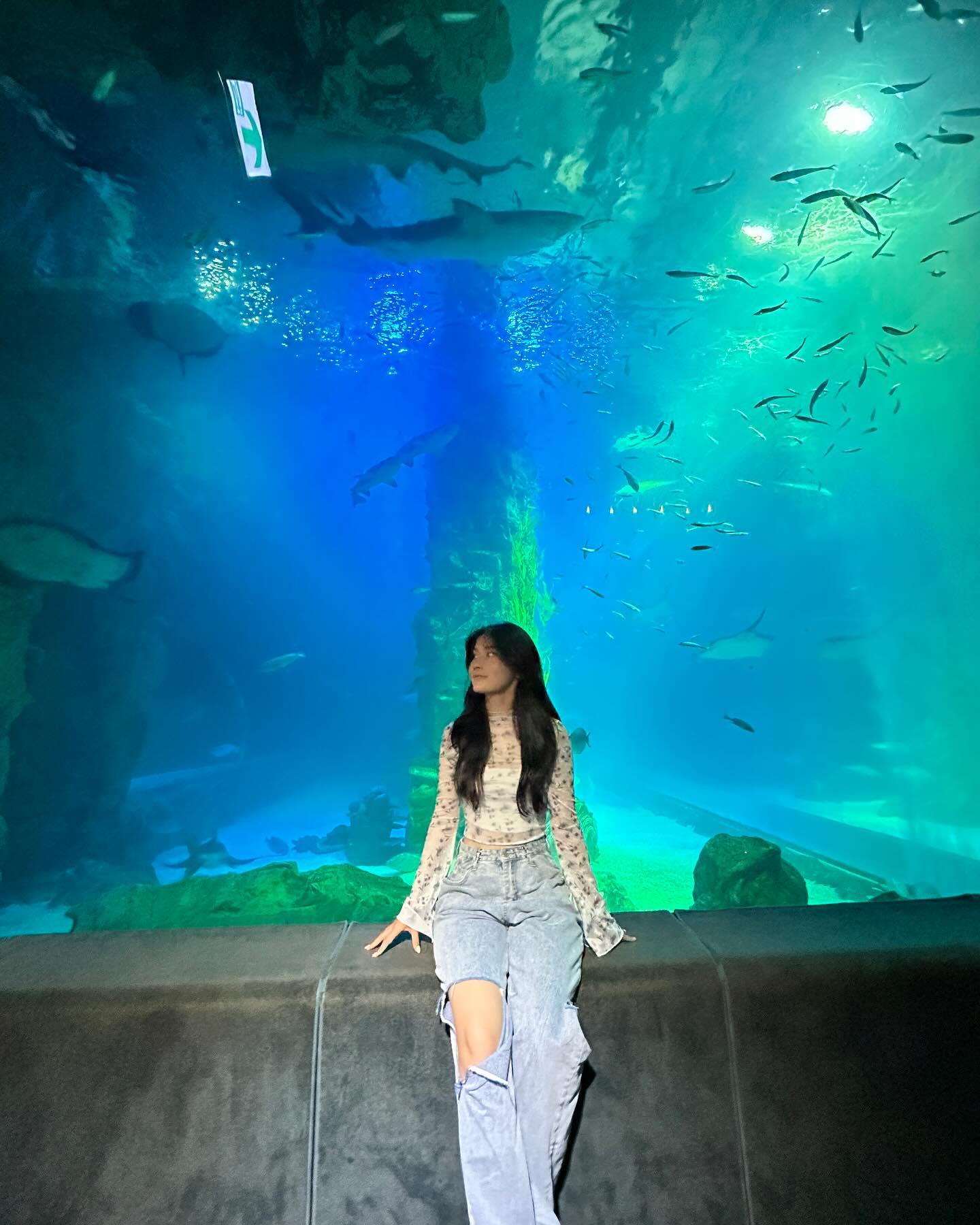 콘텐츠
