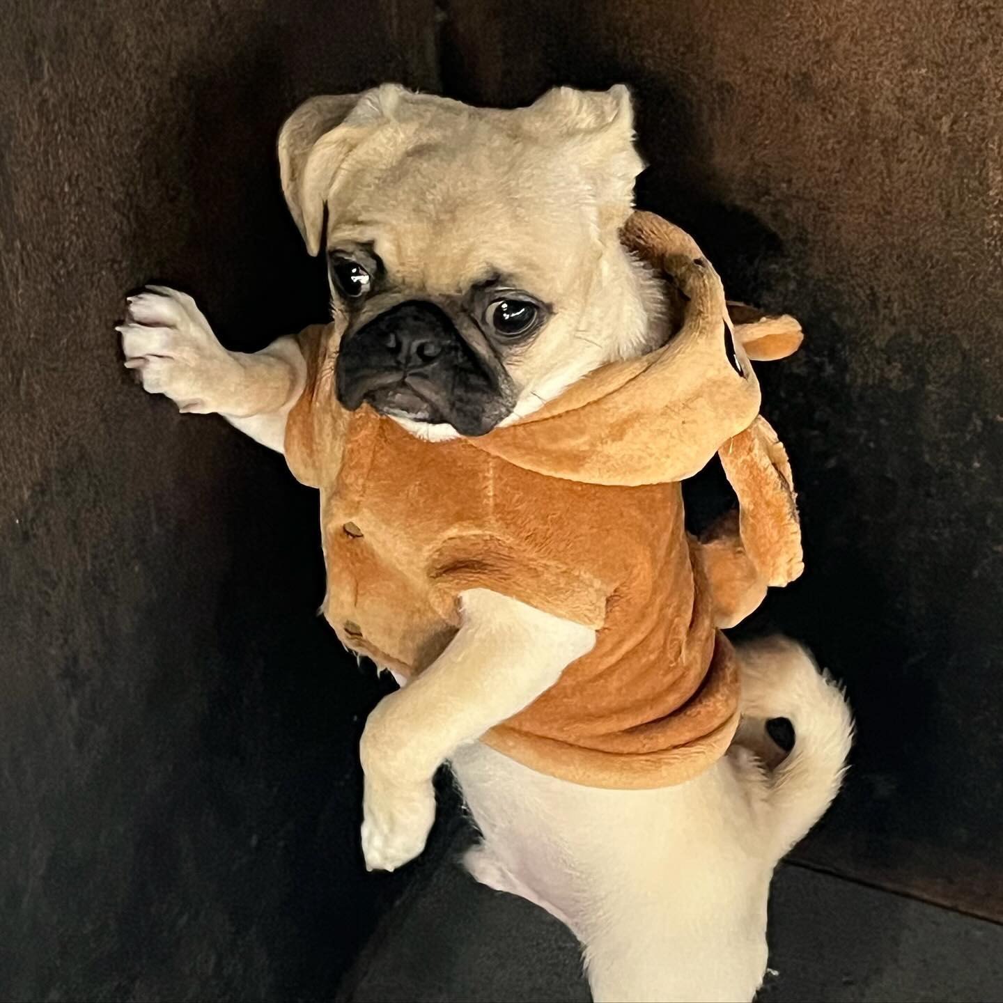 귀멍