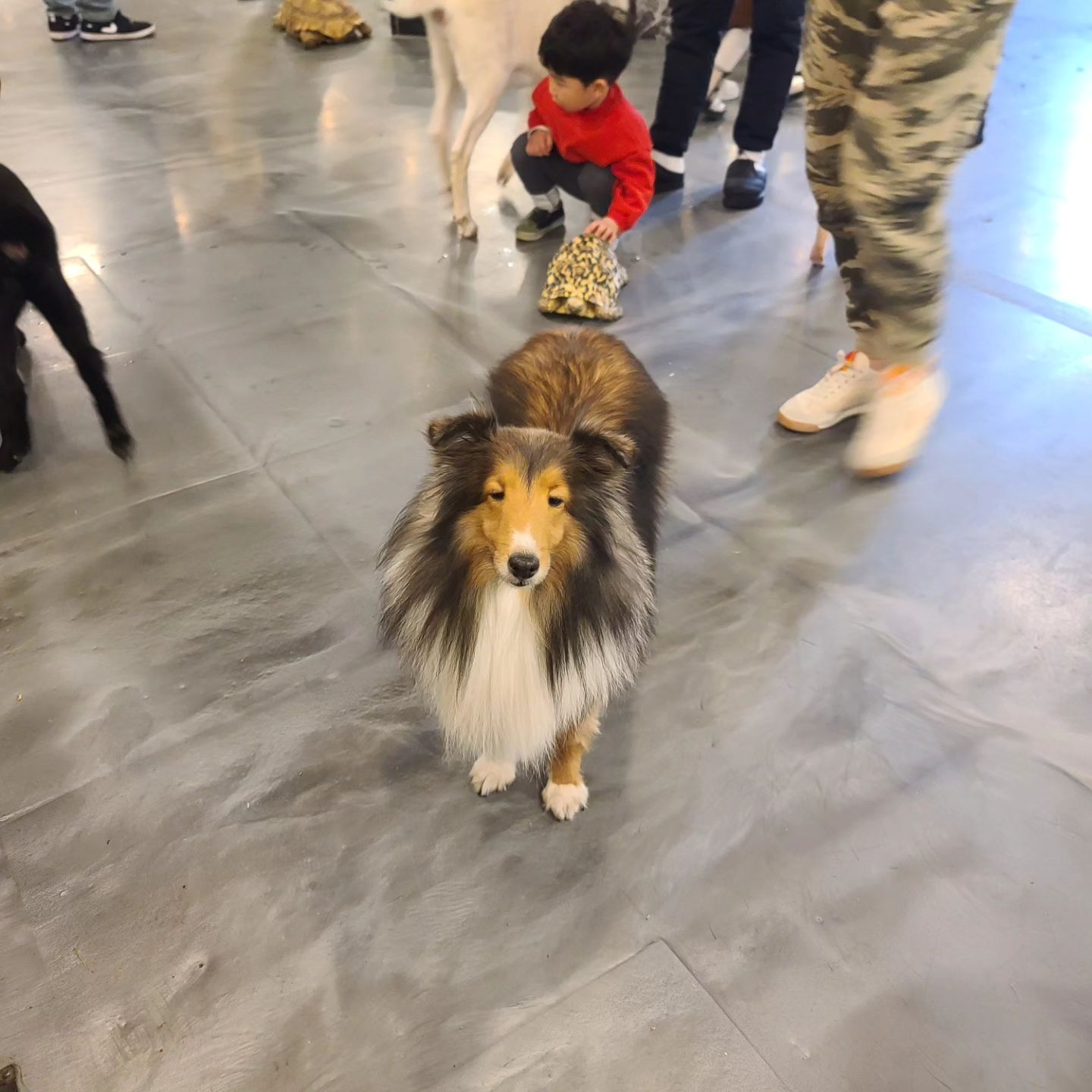 콘텐츠