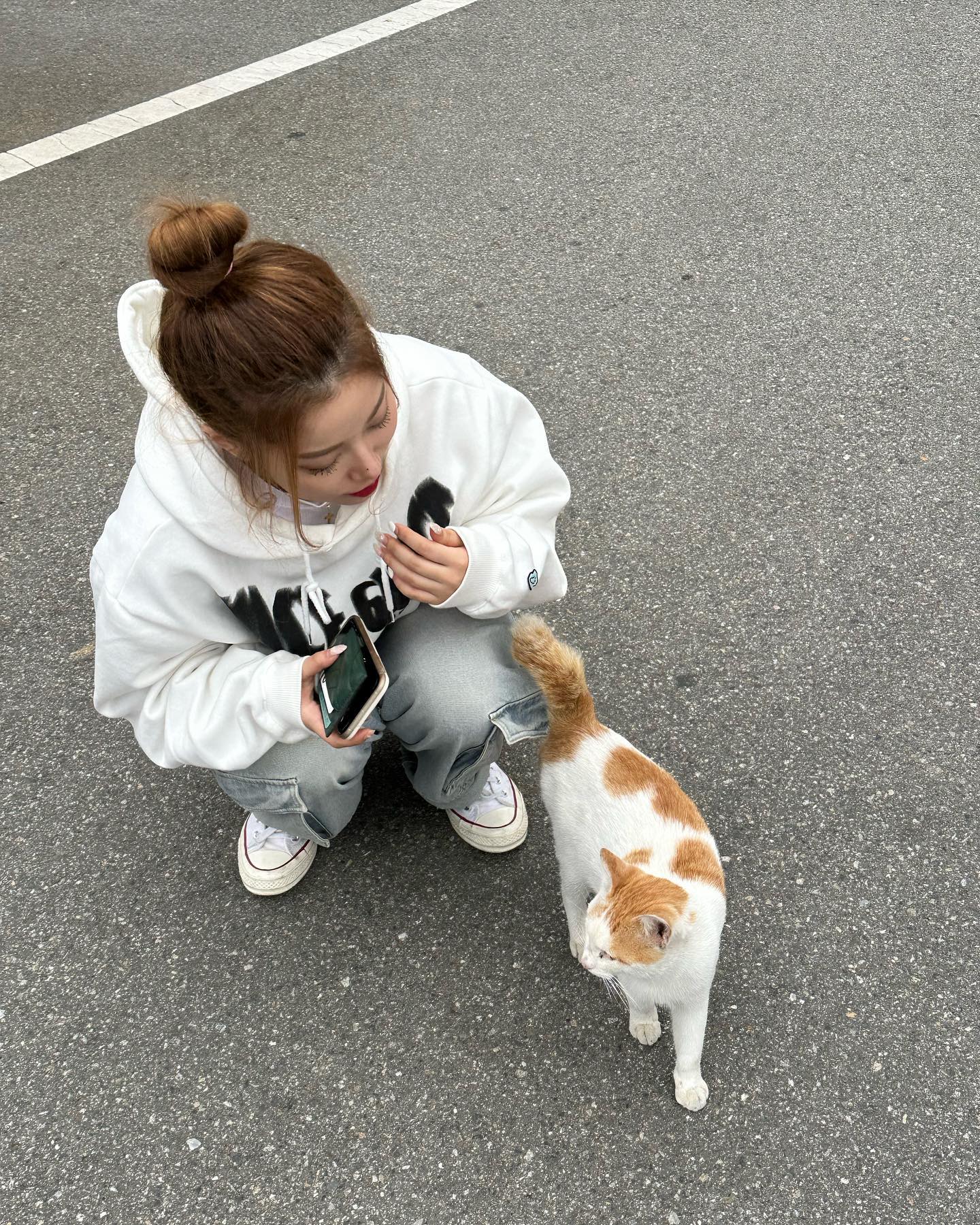 🐈