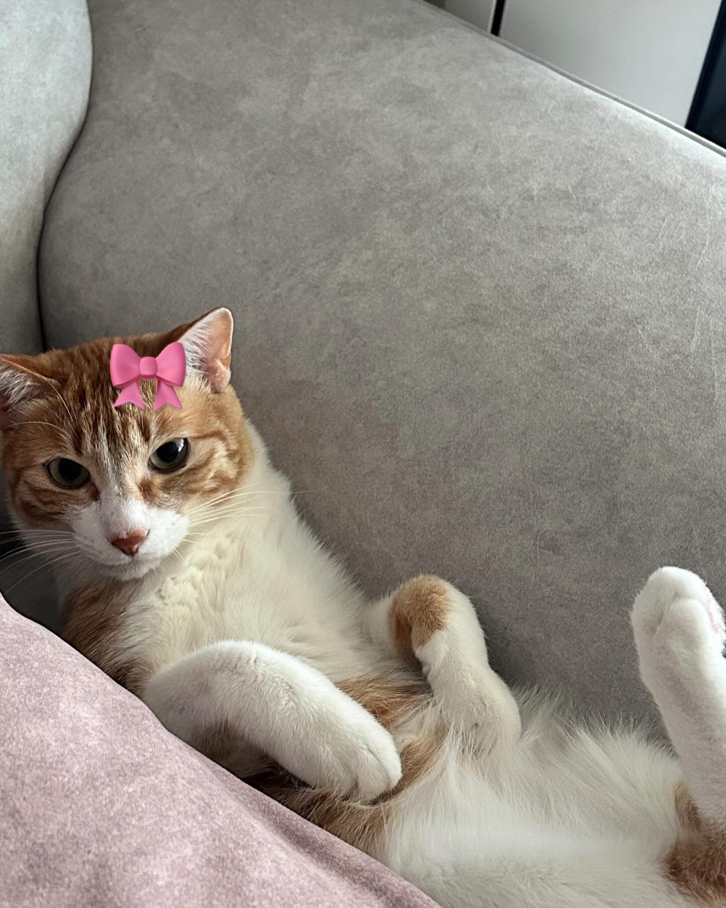 오늘 신나는 주말인데 다들 모해 😎
