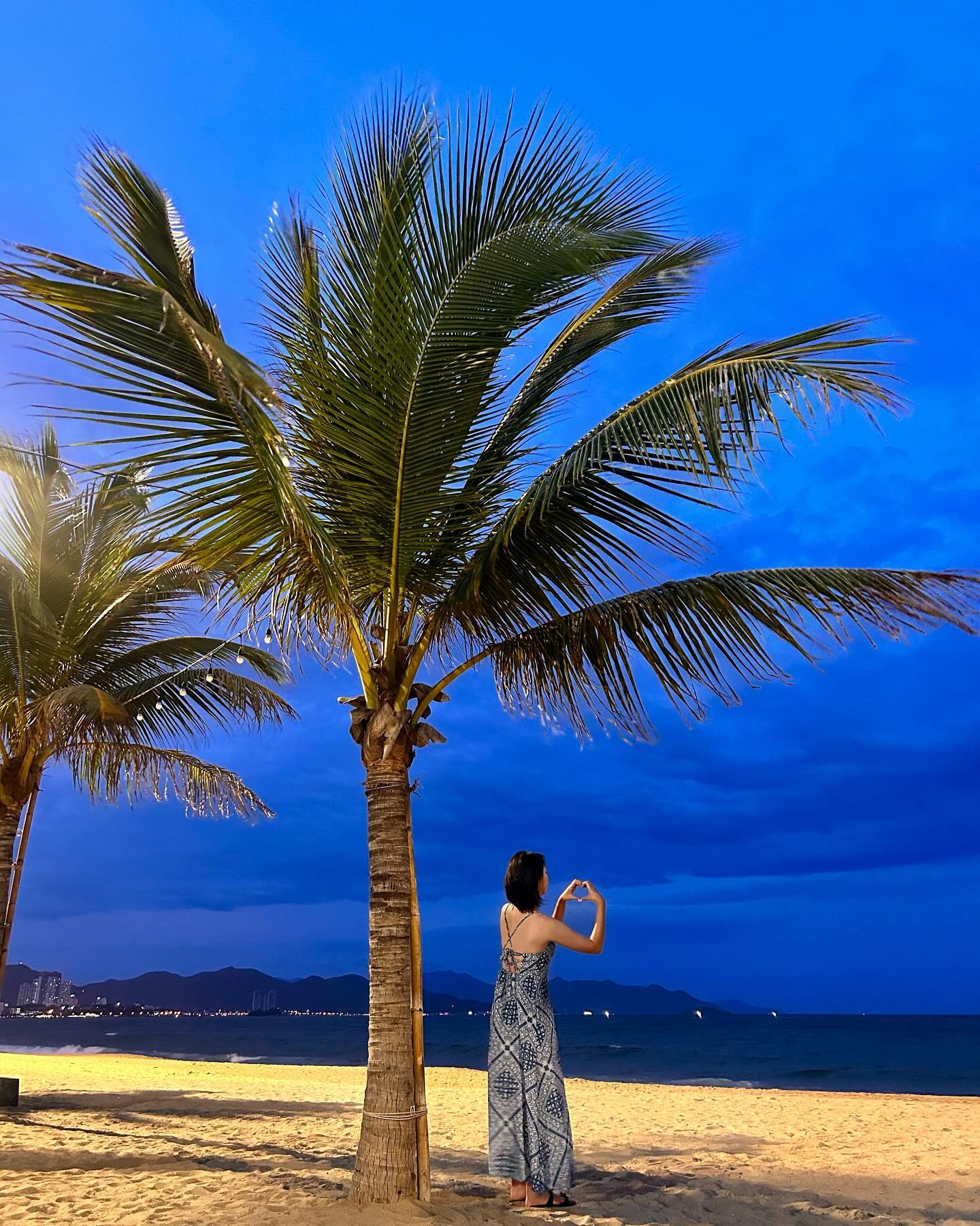 🇻🇳💙