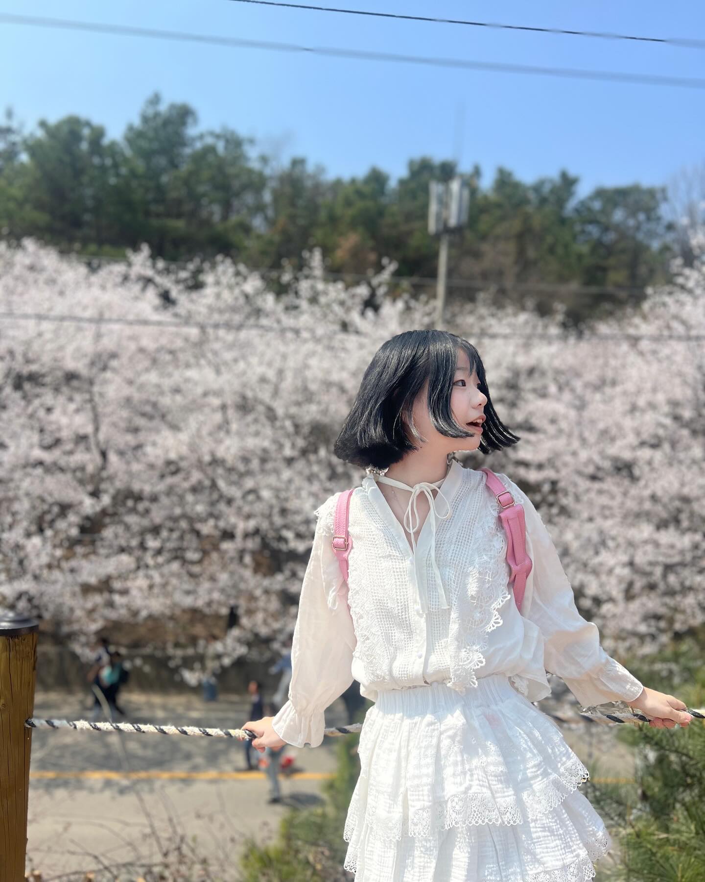🌸🍃

#여주 #흥천 #벚꽃 #벚꽃축제 
#桜 #🌸 #08 #08line