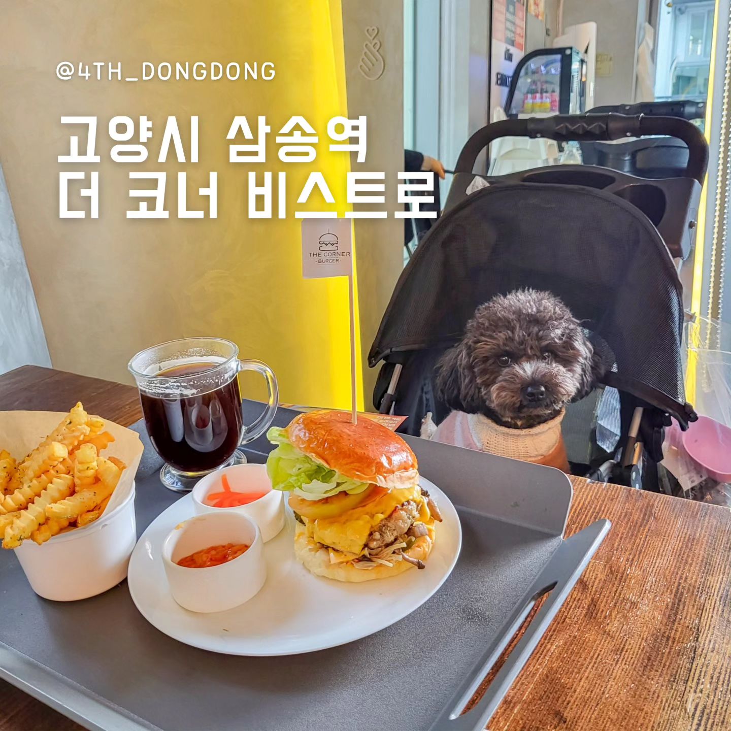 #더코너비스트로 the.corner_bistro
#삼송역맛집 #삼송애견동반 #삼송맛집추천 #수제버거🍔

고양 이케아 들리기 전 햄버거로 해장하기 🍔
너어무 맛있다 🤤

🥄한줄평 : 좋은 재료로 정성 가득하게 만든 고양시 햄버거 맛집 NO.1

🔸️고기 퀄리티가 넘사벽
크기도 크기지만, 신선한 한돈을 사용해서 정말 맛있어요 🐖
저 같은 고기 덕후들은 무조건 만족합니다!
추가로 흘러 내리는 치즈와 고기의 조화가 🤤..
거기다가, 간은 어찌가 딱 맞는지.. 하나두 안짜고 맛있어요 😊
호주, 뉴질랜드 경력 15년 사장님이라고 써있던데,
동동이 엄마가 인정합니다 😘
(TMI : 비건을 위한 두부 패디도 있어요)

🔸️신선한 재료
벽 한쪽에 재료의 원산지와 만드는 방법 등을 쫙 적어놓으셨는데요.
그만큼 사장님이 재료에 자부심이 있구나 생각했어요 😊
입에 넣자마자 재료 신선한 게 팍~ 느껴져서 완전 감동의 맛 
버거 뿐만 아니라 사이드까지도 정성이 가득 느껴지는 장인의 맛 😘
(TMI : 감튀 조차도 NON GMO, 직접 자르고 튀긴 정성)

🍽더 코너 비스트로
📍경기도 고양시 덕양구 삼송로 240
⏰️매일 11:00~22:00(브레이크 타임 15:00~17:00)
📝반려견 동반 가능, 주차 편리

#삼송맛집 #삼송스칸센 #스칸센맛집 #삼송수제버거 #수제버거맛집추천 #수제버거맛집 #일산애견동반 #일산애견동반식당 #일산수제버거 #삼송동맛집