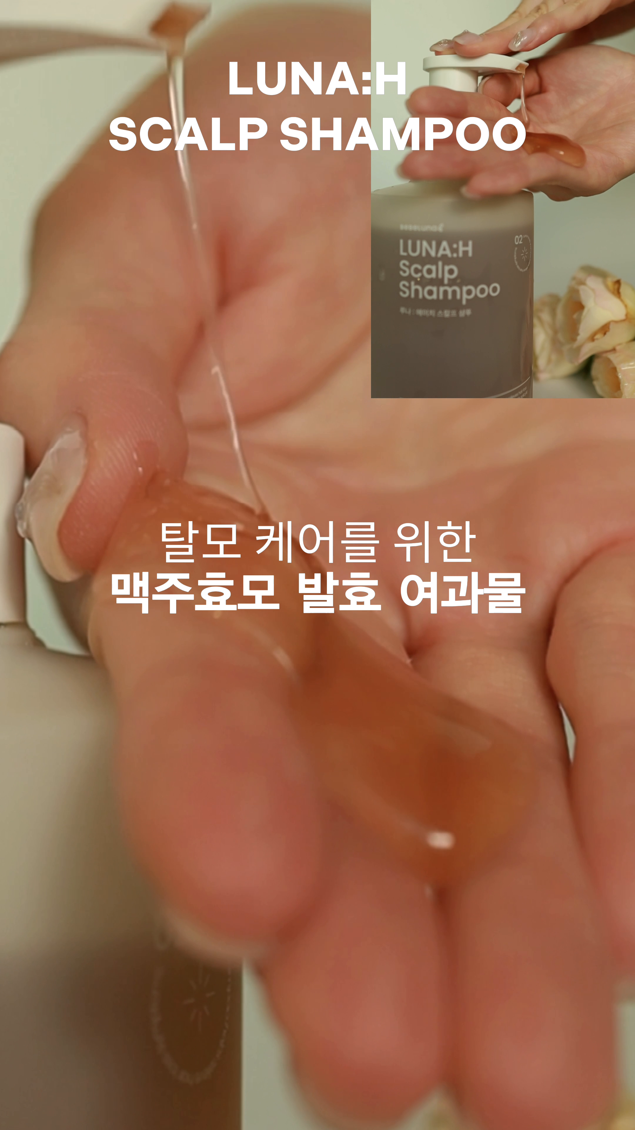 베베루나