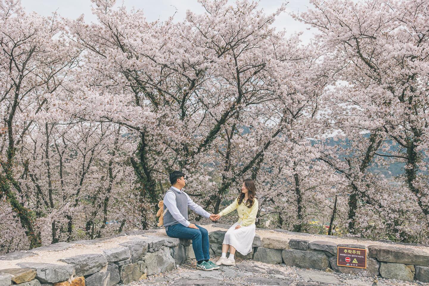 #벚꽃 

2024년, 우리의 봄은 밀양에서 남기다🌸

흐린 날이였지만 사진 찍는 순간 햇살이 비추고
나름 만족한 사진을 남기게 되었다✨나름 뿌듯!

아이폰 RAW로 찍은 커플 사진도 있지만 역시 카메라
화질은 못 따라가는 것 같다🥲무겁지만 챙기는 이유👍

이제 커플 포즈 연구를 다시 시작해봐야겠다📷

✔️세번째 사진, 그녀가 감당해야하는 무게
✔️마지막 사진, 하트❤️

#국내여행 #밀양벚꽃 #벚꽃스냅 #커플스냅