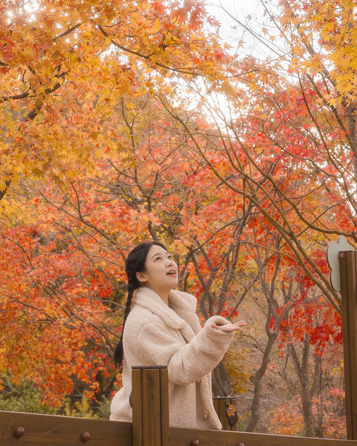 12월에 올리는 가을

#단풍구경 #단풍놀이 
#단풍명소 #야외촬영 #일상