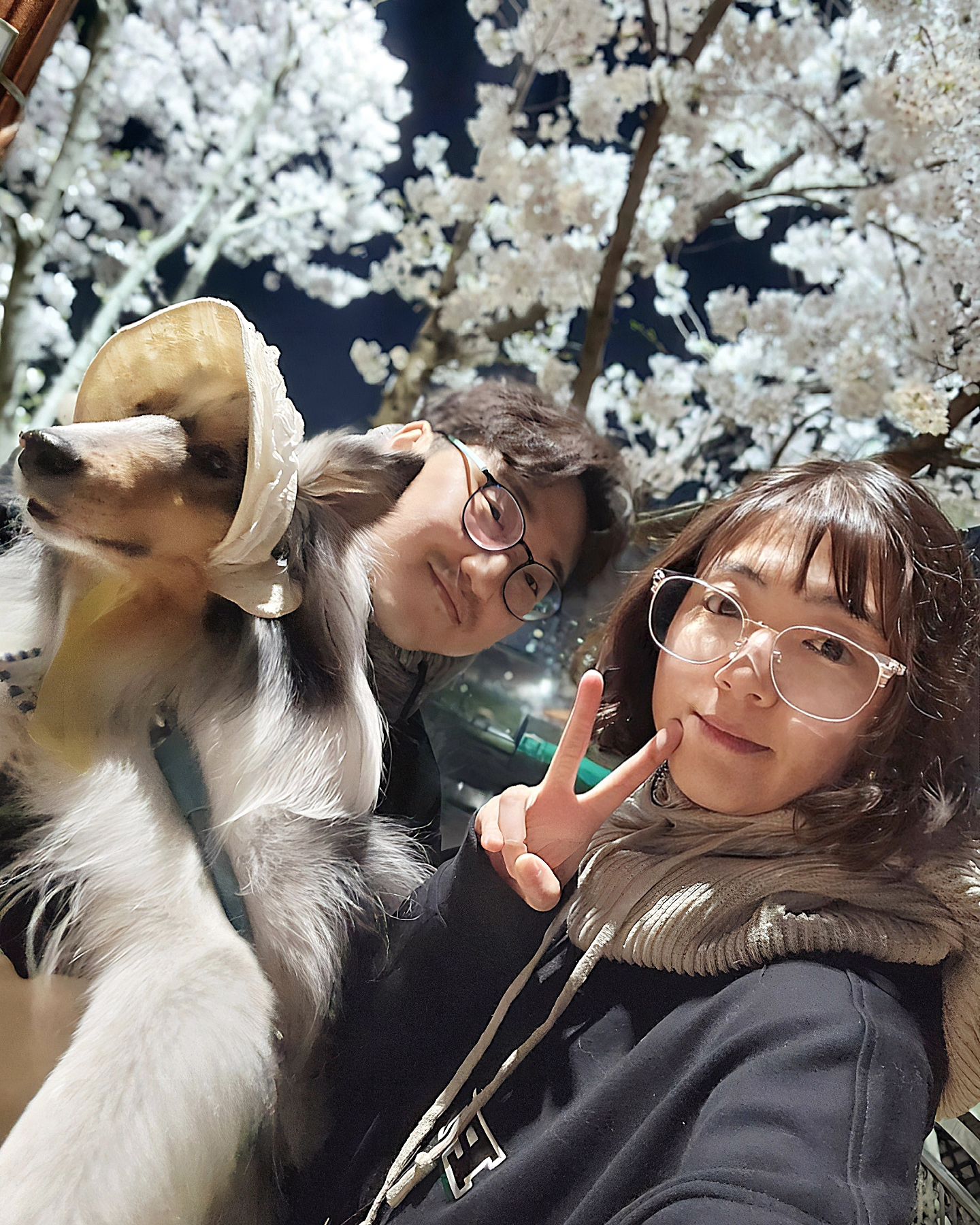 올해도 안양천에서 🌸
