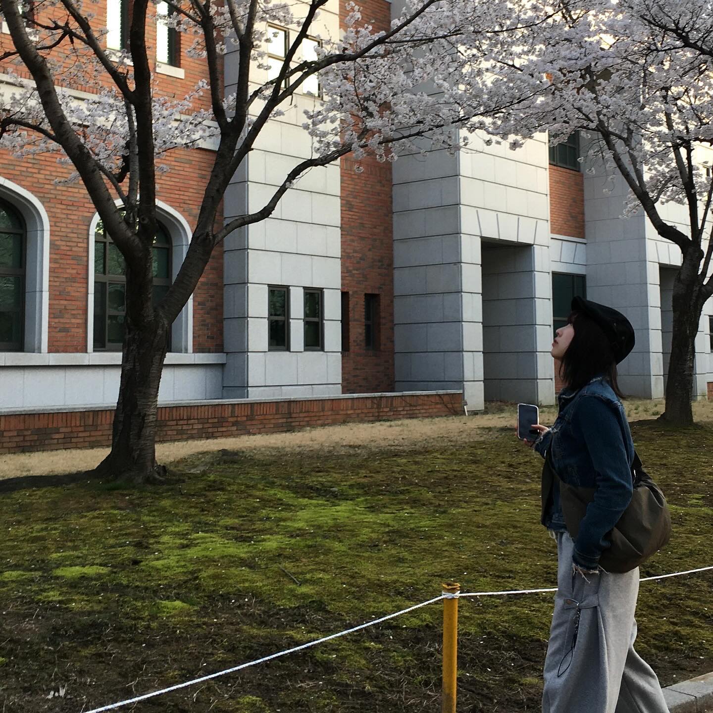 콘텐츠