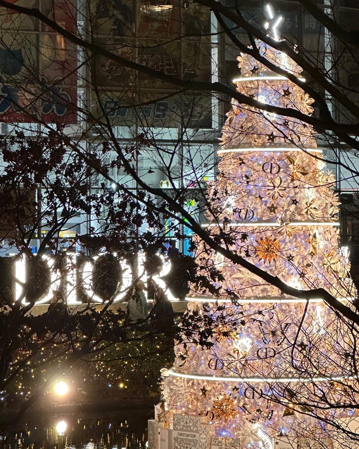 넘넘 이쁜 🎄