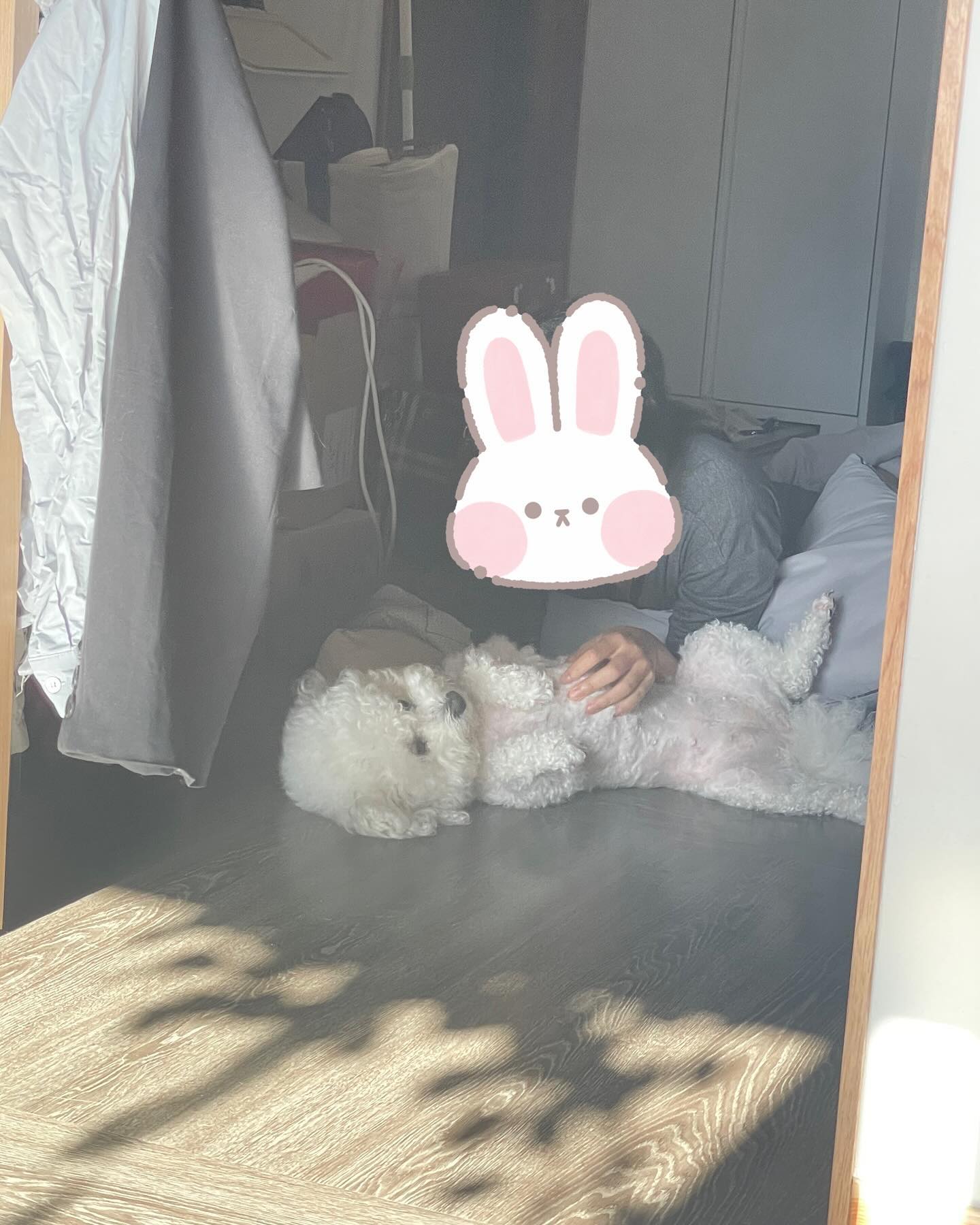 두루와 두루전용효자손