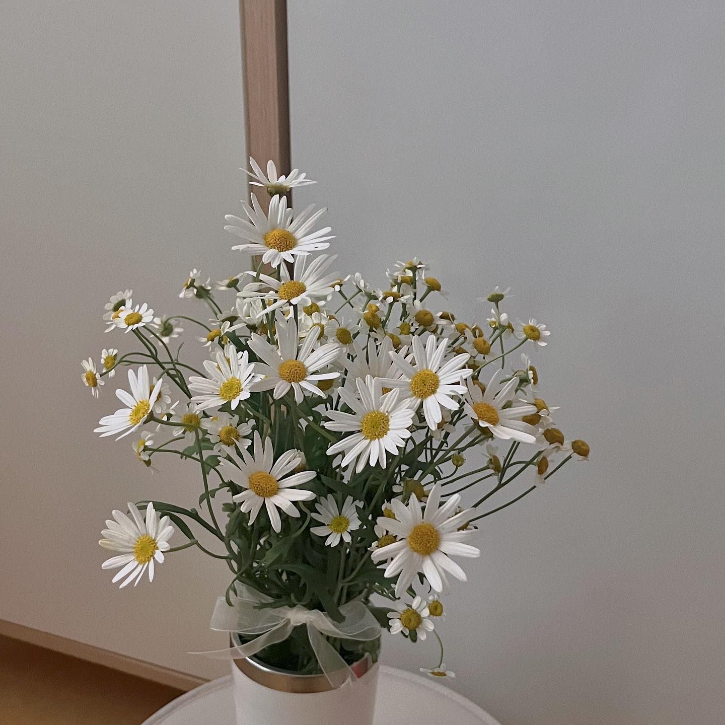 바야흐로… 6월초 기록~.~ 저희집앞에 새로생긴 카페인데 평일에 가면 넘뮤 좋아용옥수수어쩌구랑 대파크림 어쩌구 맛있어용! 제가 좋아하는 꽃들 중 하나인데용 꽃집 앞에서 예쁘다고 중얼거렸더니 예찬이가 사줬어요🫶 화병이 없어서 텀블러에 냅다 넣은…^^ 저는 계란후라이 같이 생긴 꽃들을 좋아하는데 비슷하게 생겨도 다양한 종류들이 있더라구요 그래서 얘 이름이 뭐냐면 까먹었어요 죄송합니다🙏🏻🙏🏻🙏🏻
#도나스데이수원 #계란꽃