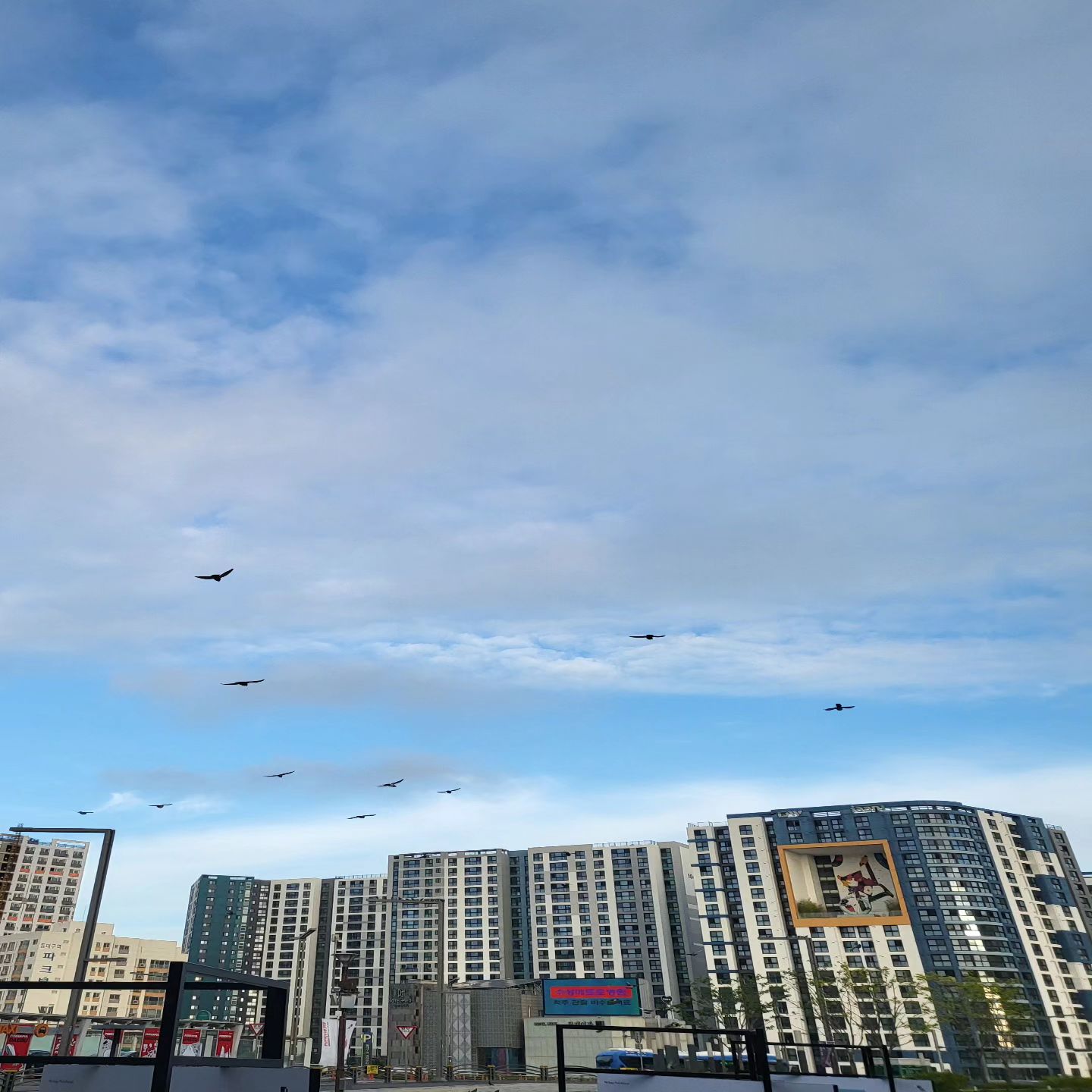 #20230922 6:40 a.m.
-
오랜만, #동대구역
다들 부지런해