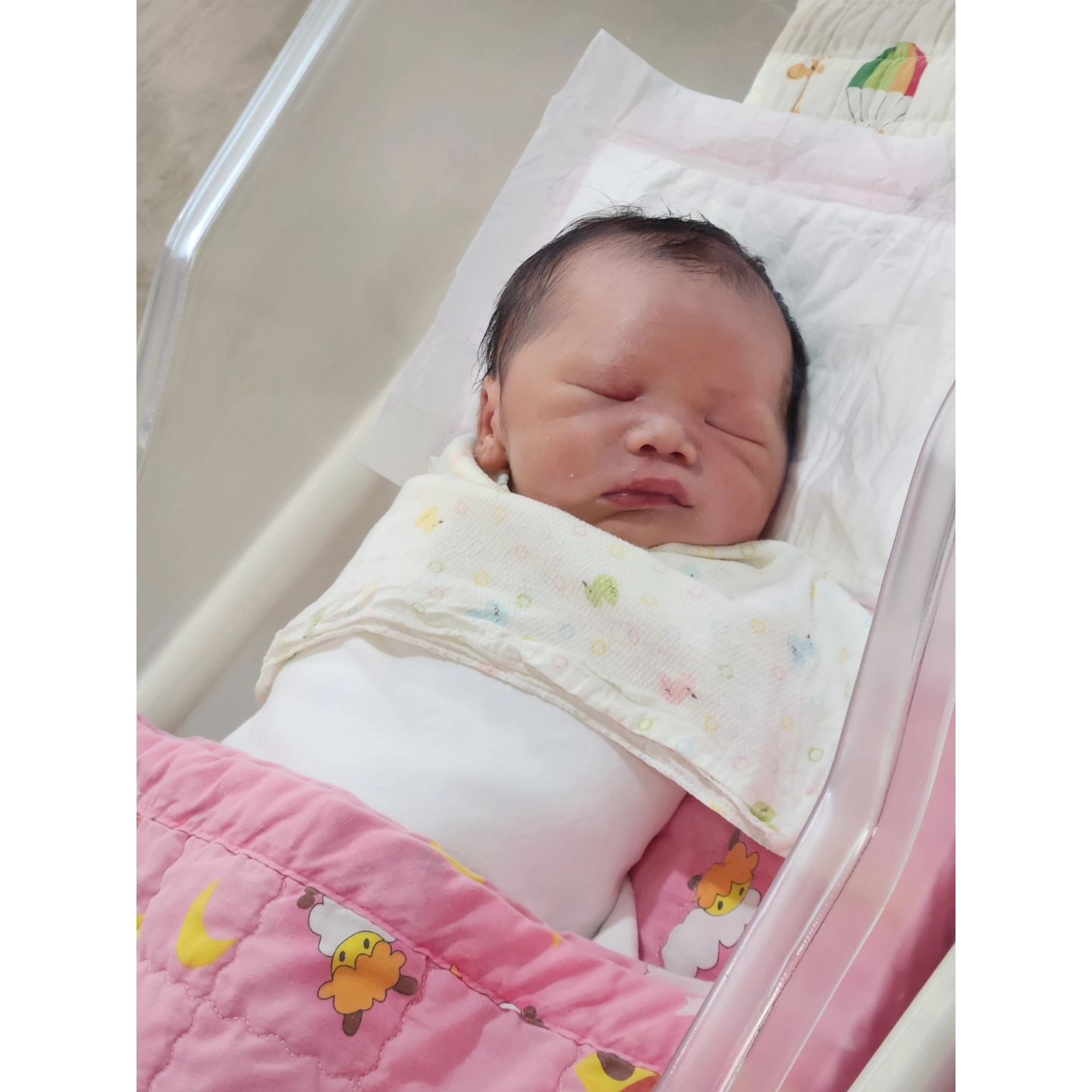 첫줄.
2024.10.14월, 15시38분, 3.65kg
윤복덩 지구별 도착🫡
아직 수술직후 보고 제대로 얼굴을 못봤지만,
언능 회복하고 얼굴보러 갈 수 있길❤️
눈도 떠서 쳐다봐주면 좋겠다🫣
운다고 수고했어 푹자고 곧 만나장🫶
내 감자 🥔 나도 드디어 엄마가 되었다아🥰